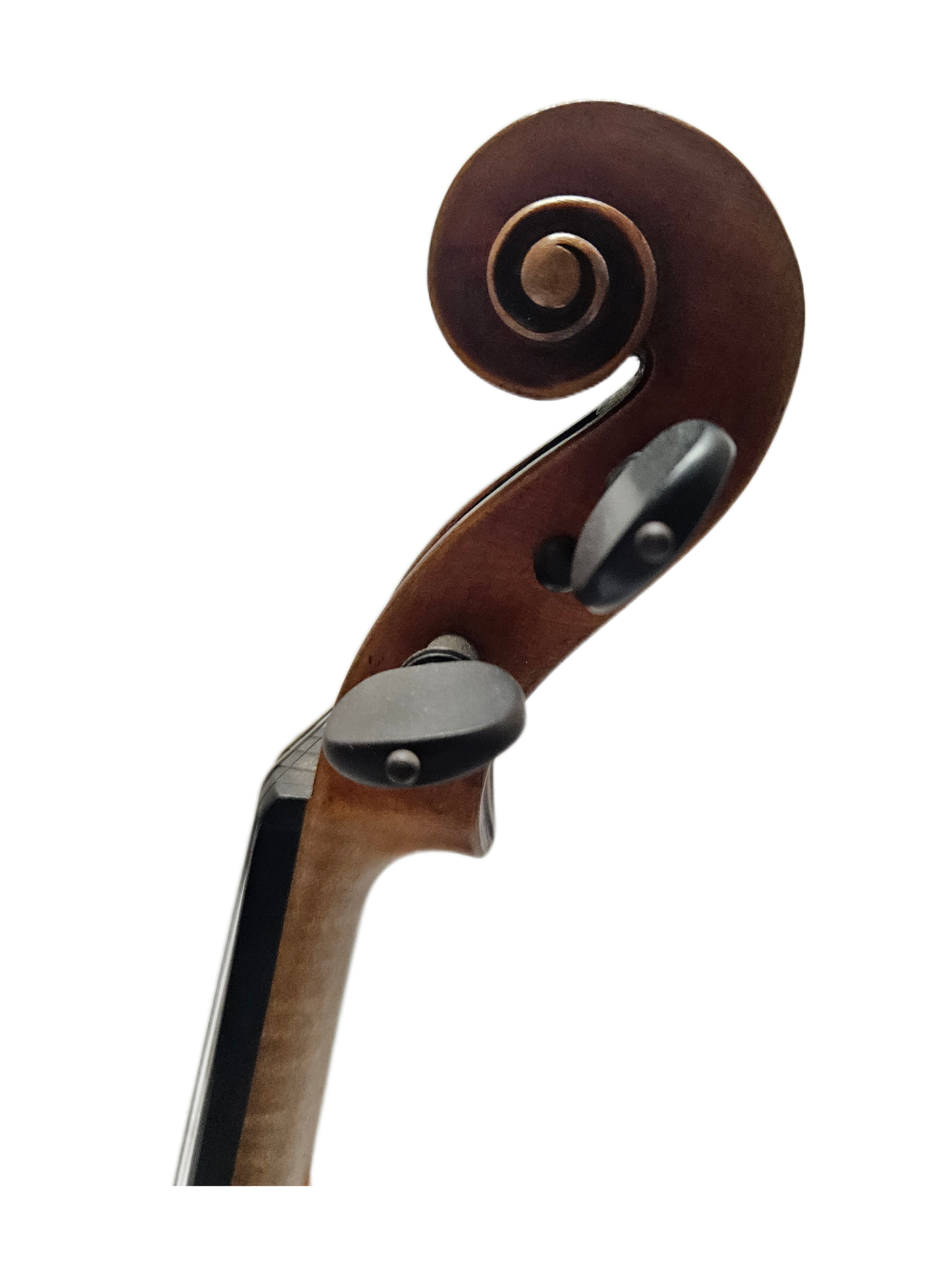 Jay Haide European Tonewood VL Scroll.png