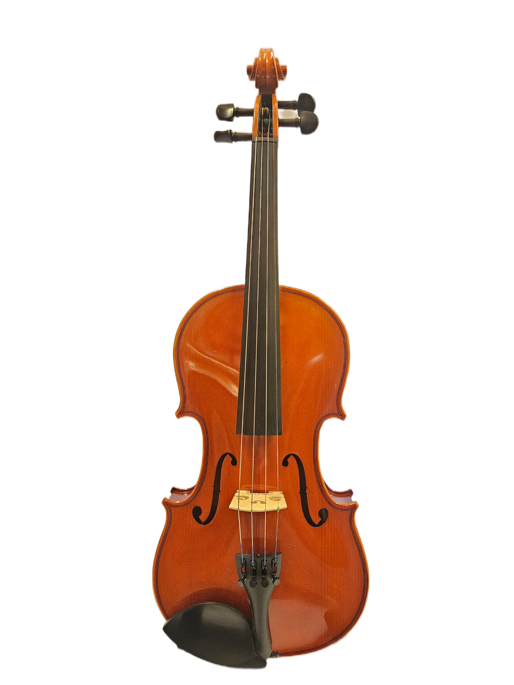 Eastman Violin - Model 80 Student Outfit