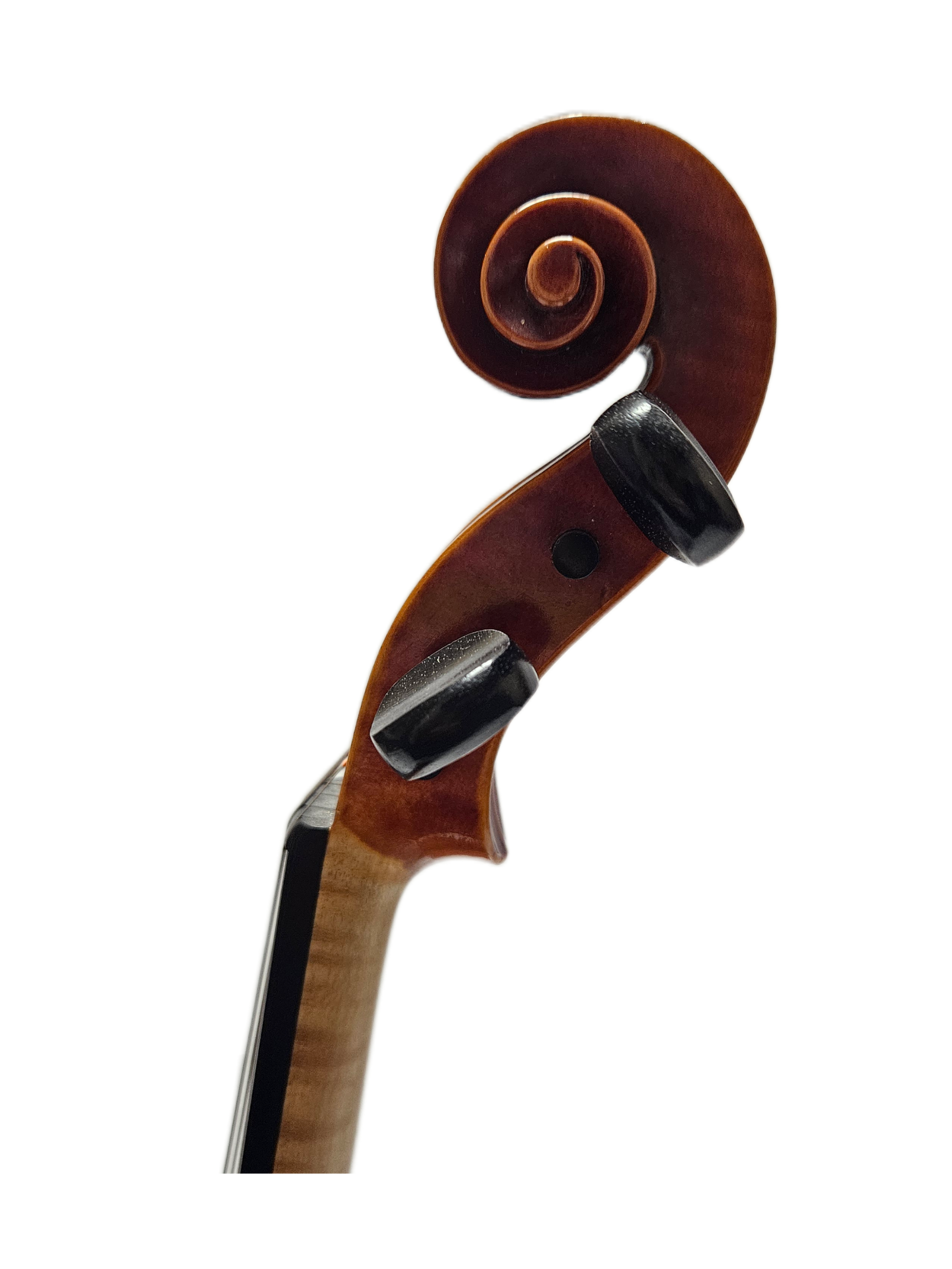 Boiko Stoyanov Amadeus VL Scroll.png