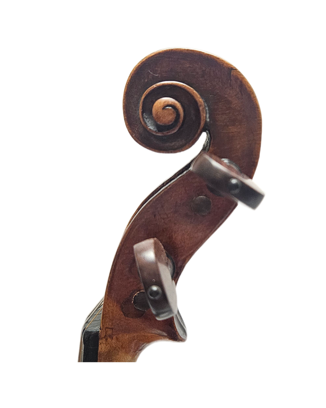 Carlo Testore Copy 1800 Milan VL Scroll.png