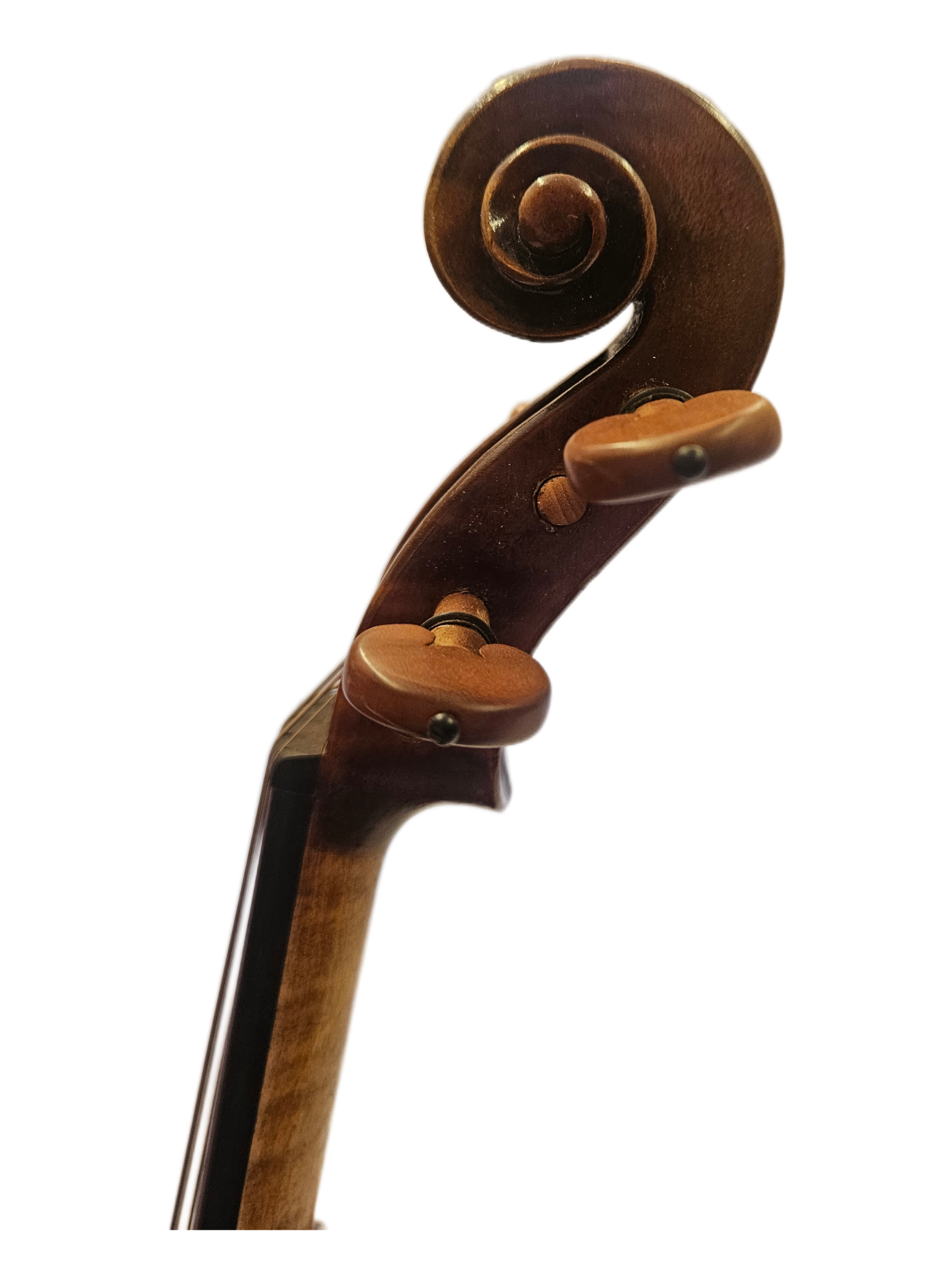Cedar Music Model B Scroll.png