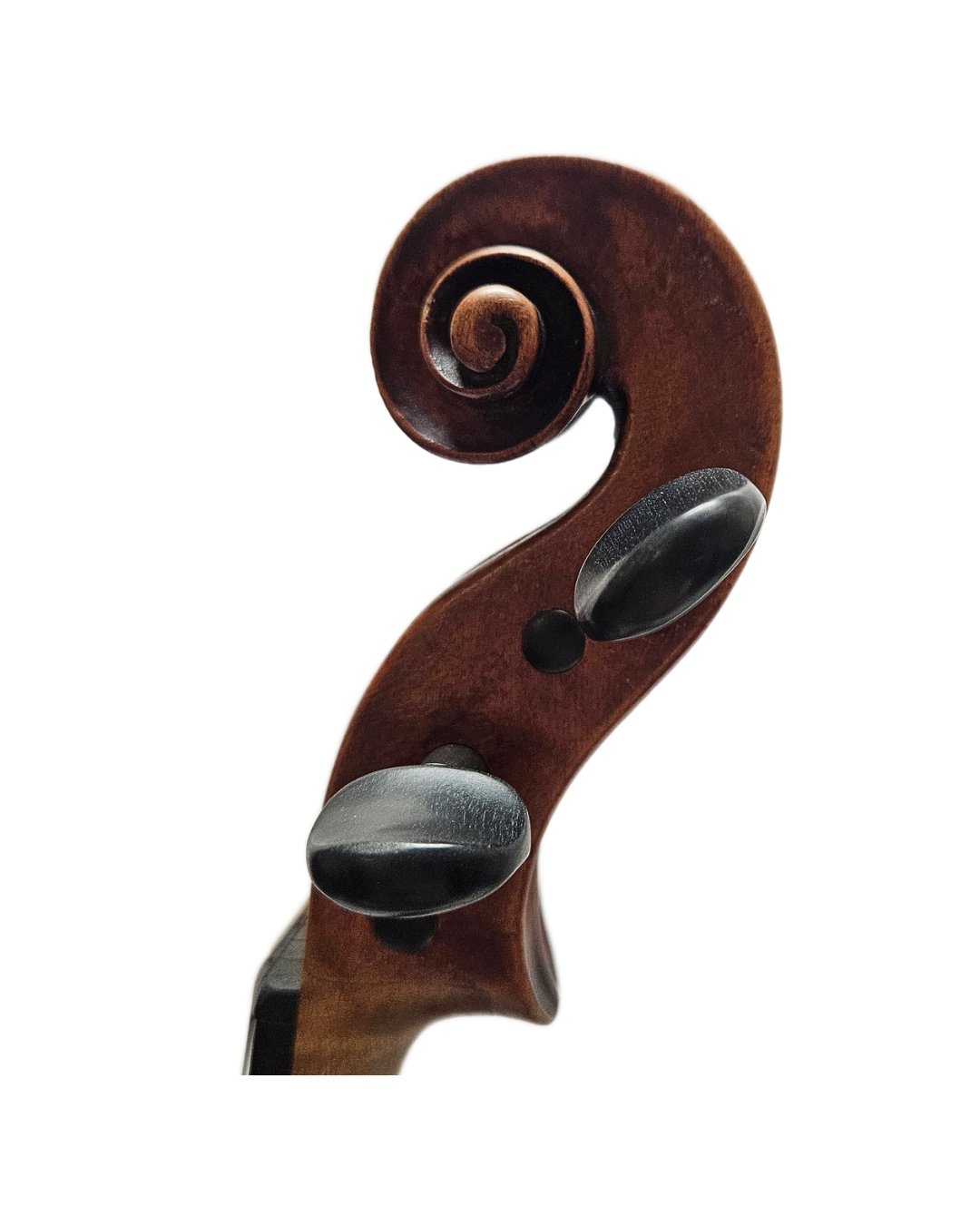 18th Century Germany VL Scroll.png