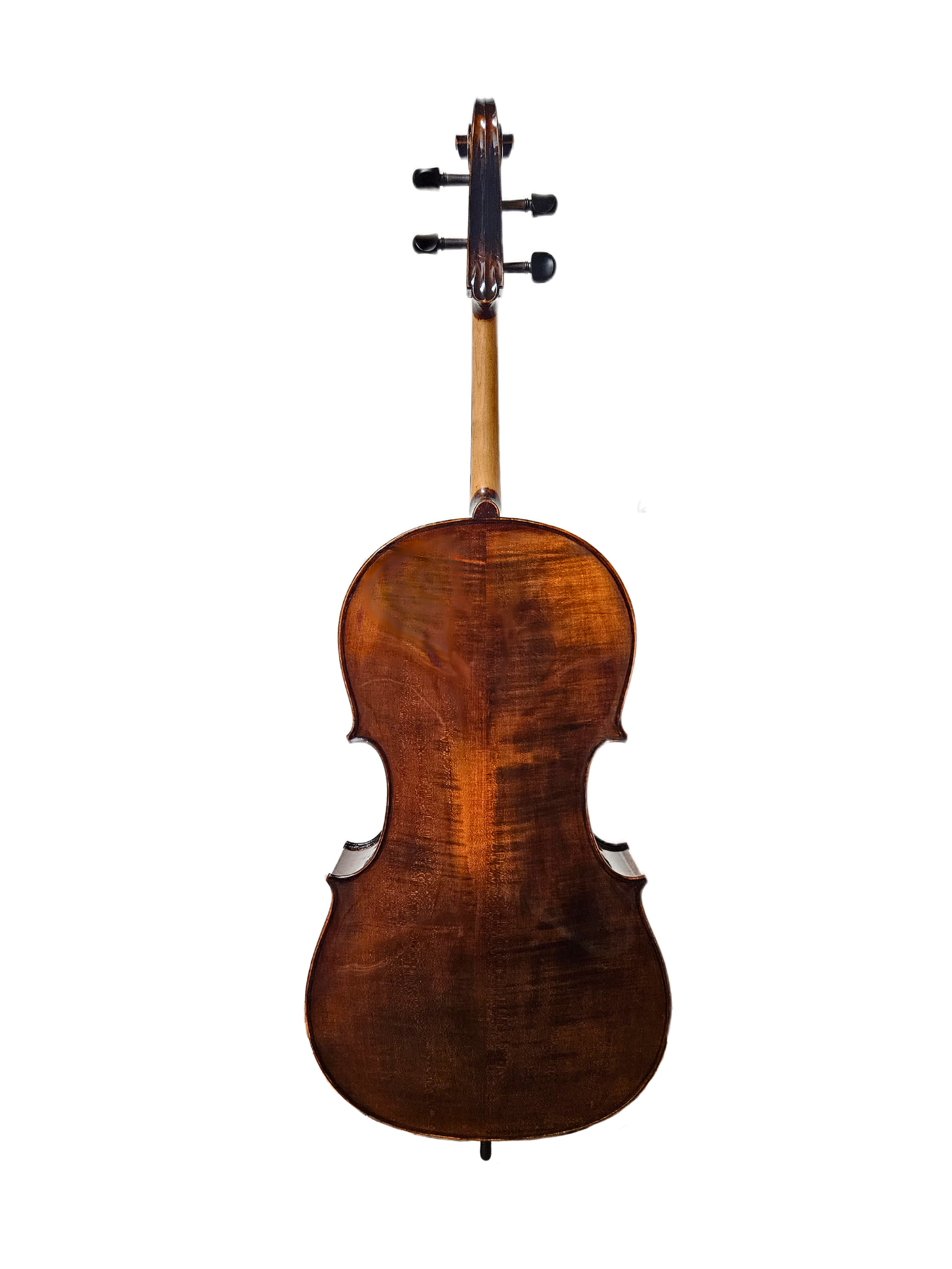 EM 305 44 Cello Back.png