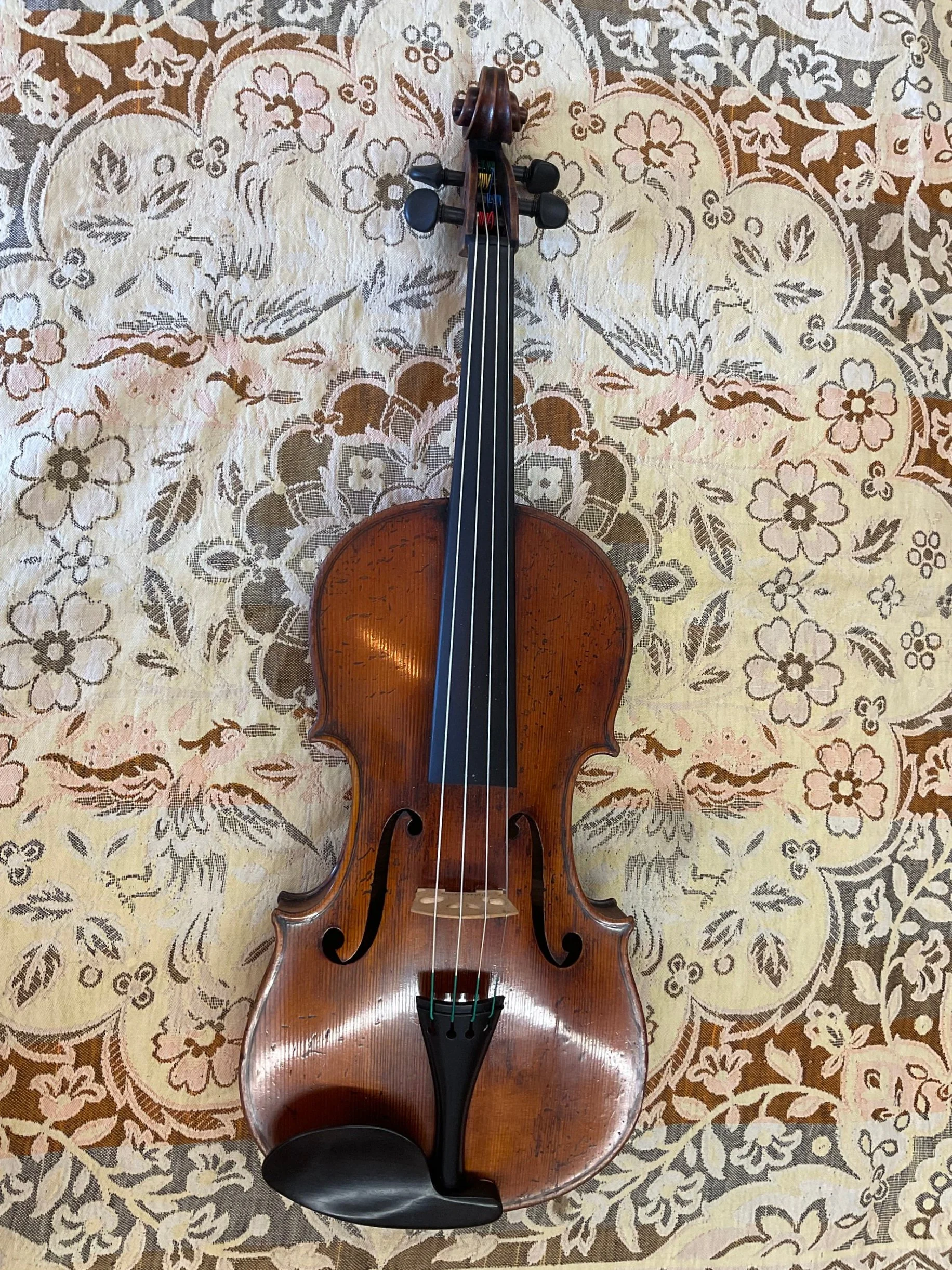 guarneri+viola2.jpg