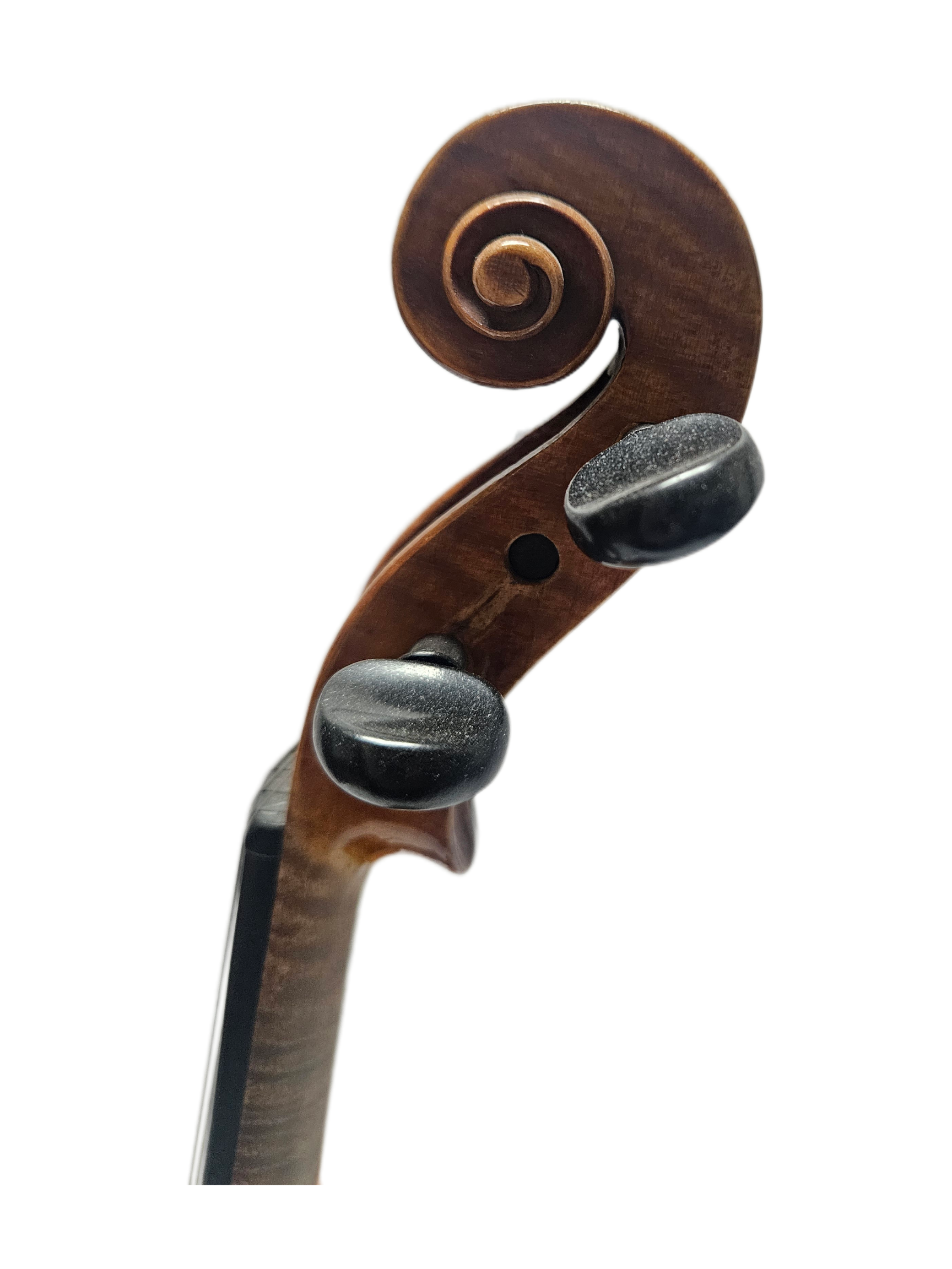 Antonio Curatoli 1902 VL Scroll.png