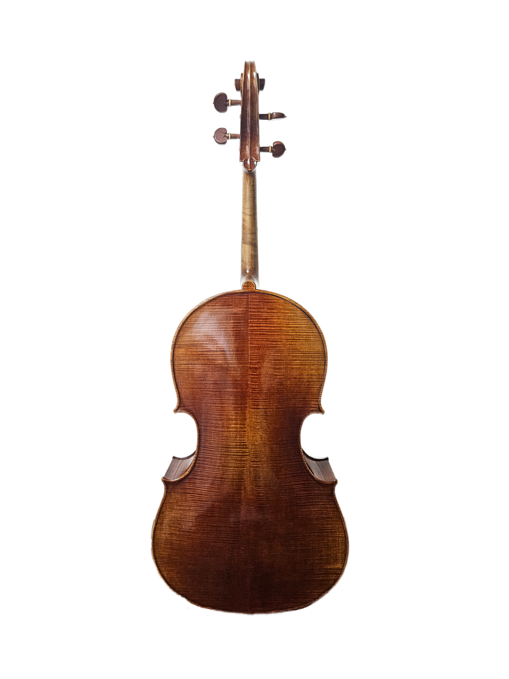 Sandro Luciano VC Back.png