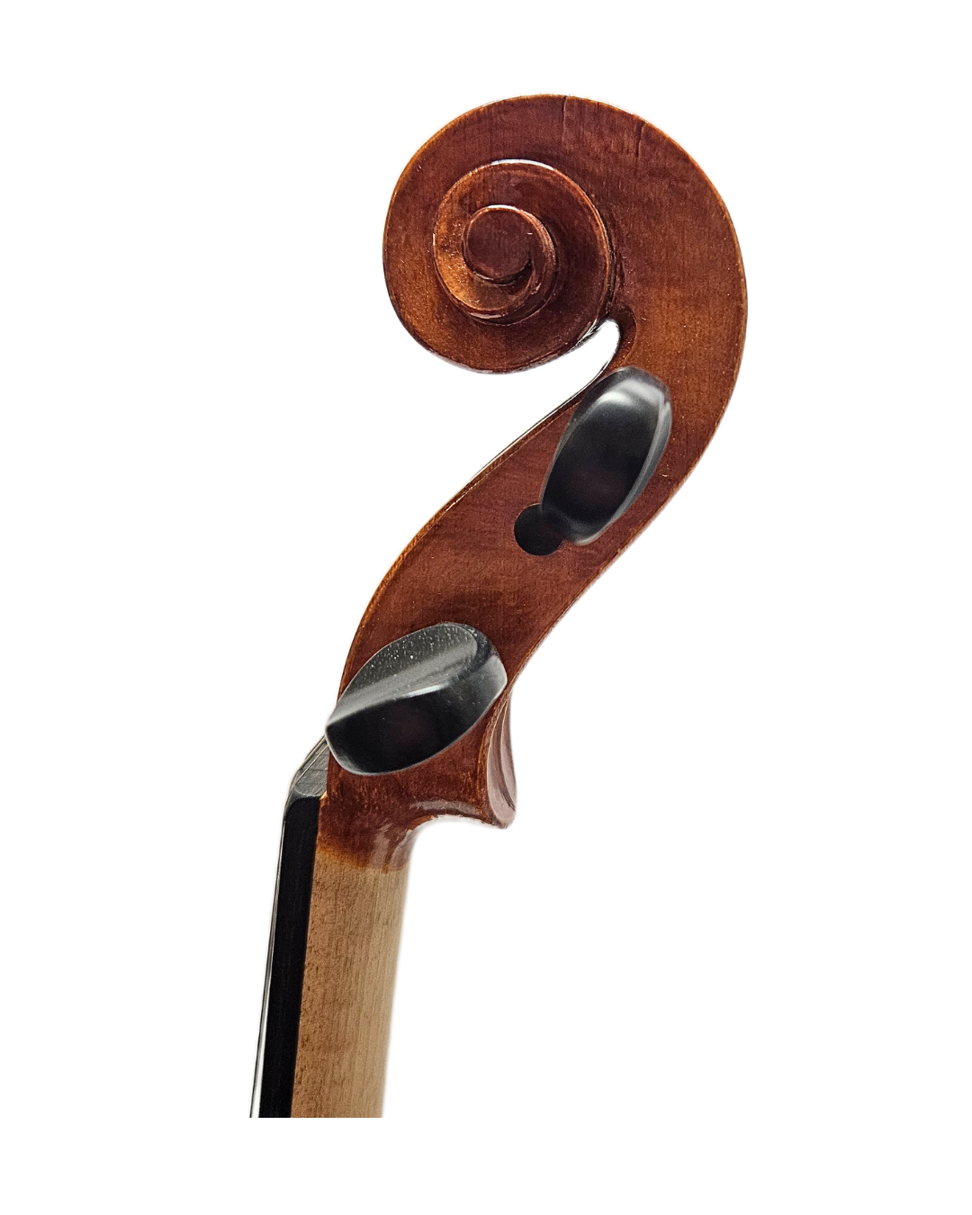 Carino 2019 Revarnished VL Scroll.png