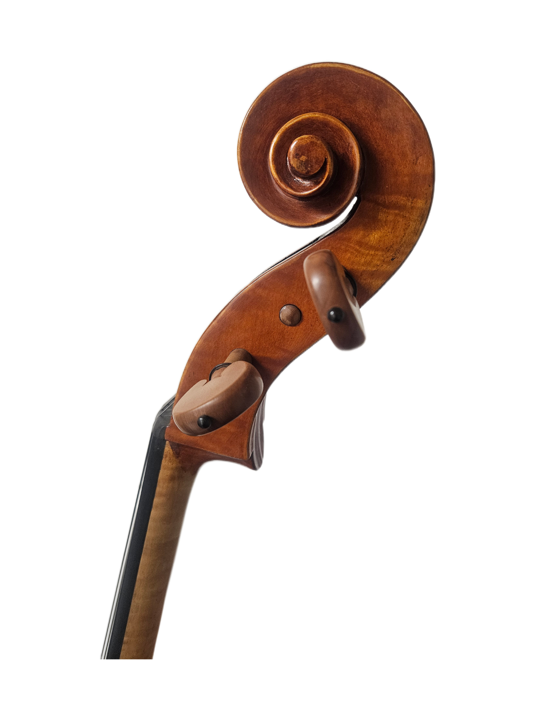 Pietro Lomvardi VC Scroll.png