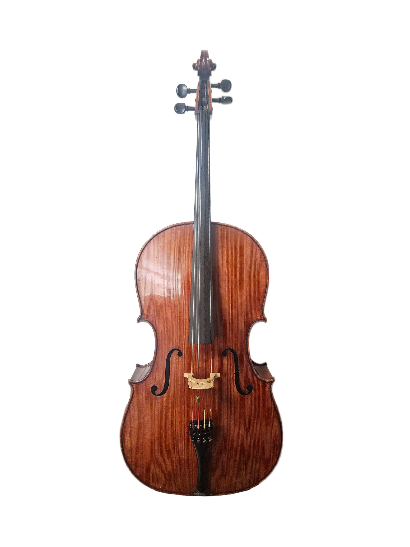 Jacek Mastal Polish Cello