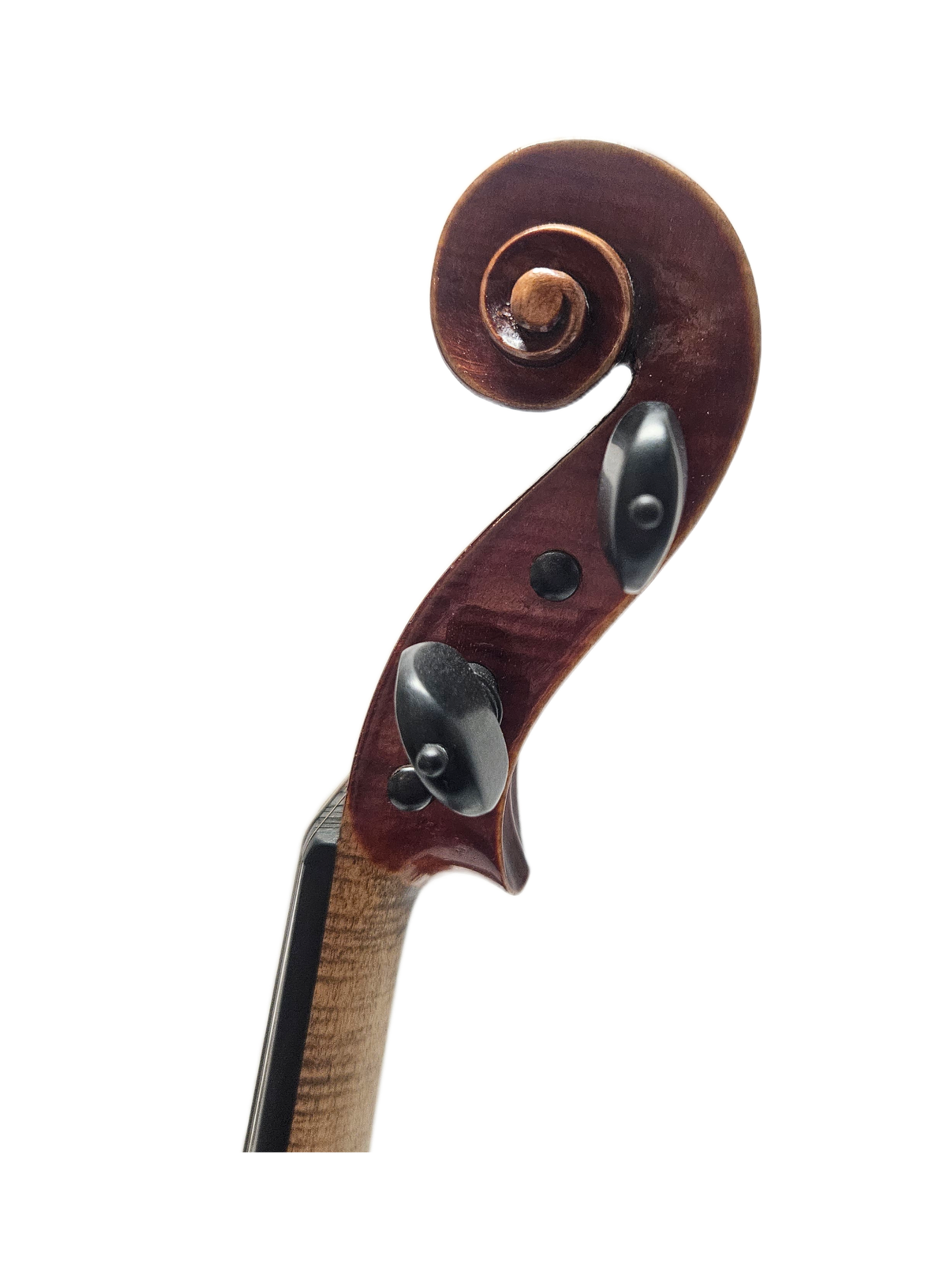 August Kniezel Vienna VL Scroll.png