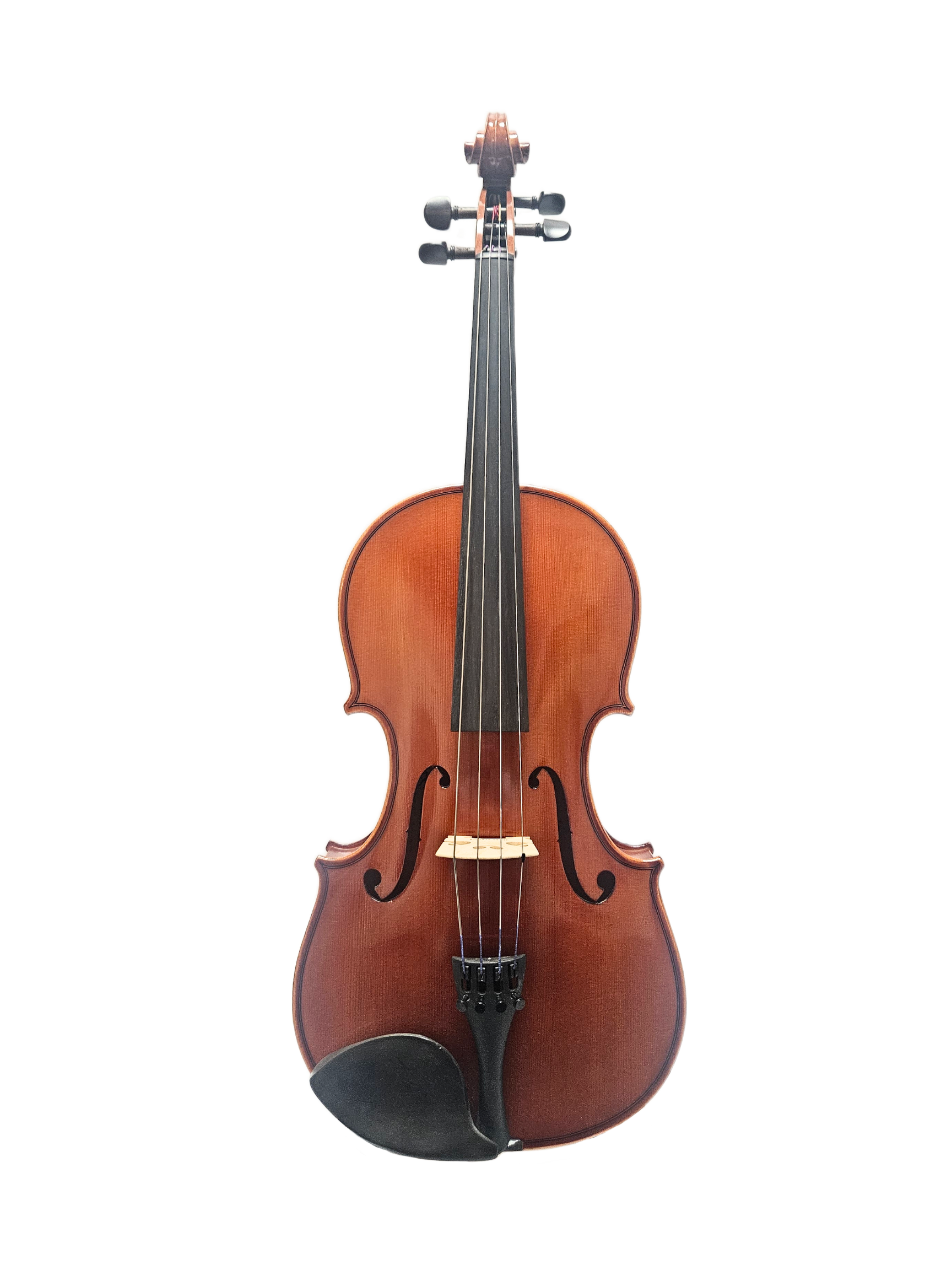 11-16.5" Eastman Model 80 Viola Outfit