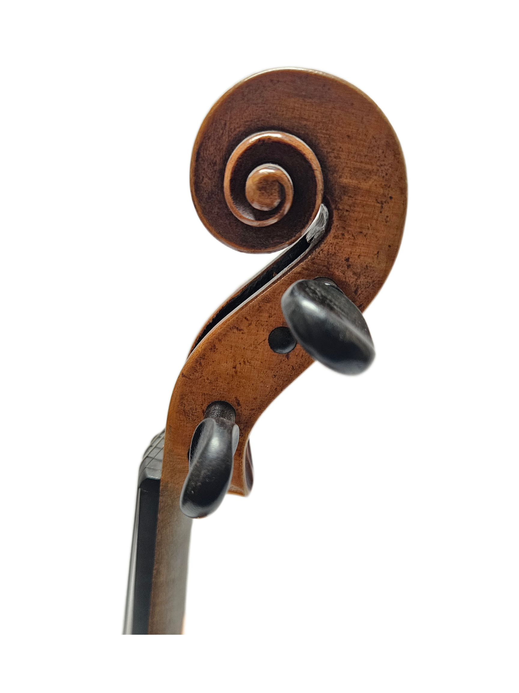 Rudolph Wurlitzer Cremona VL Scroll.png