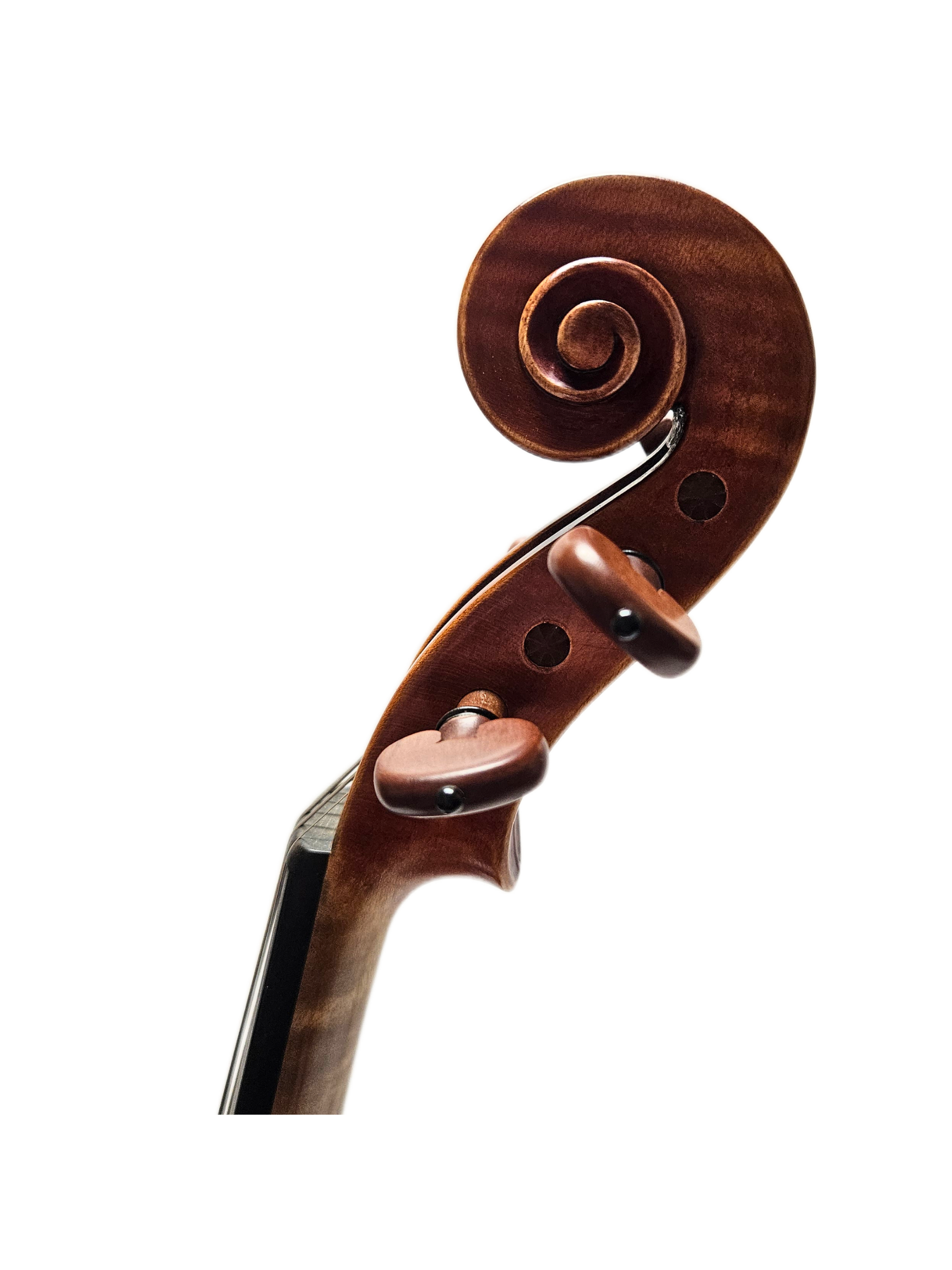 Aldo Romano 15 5-String VA Scroll.png