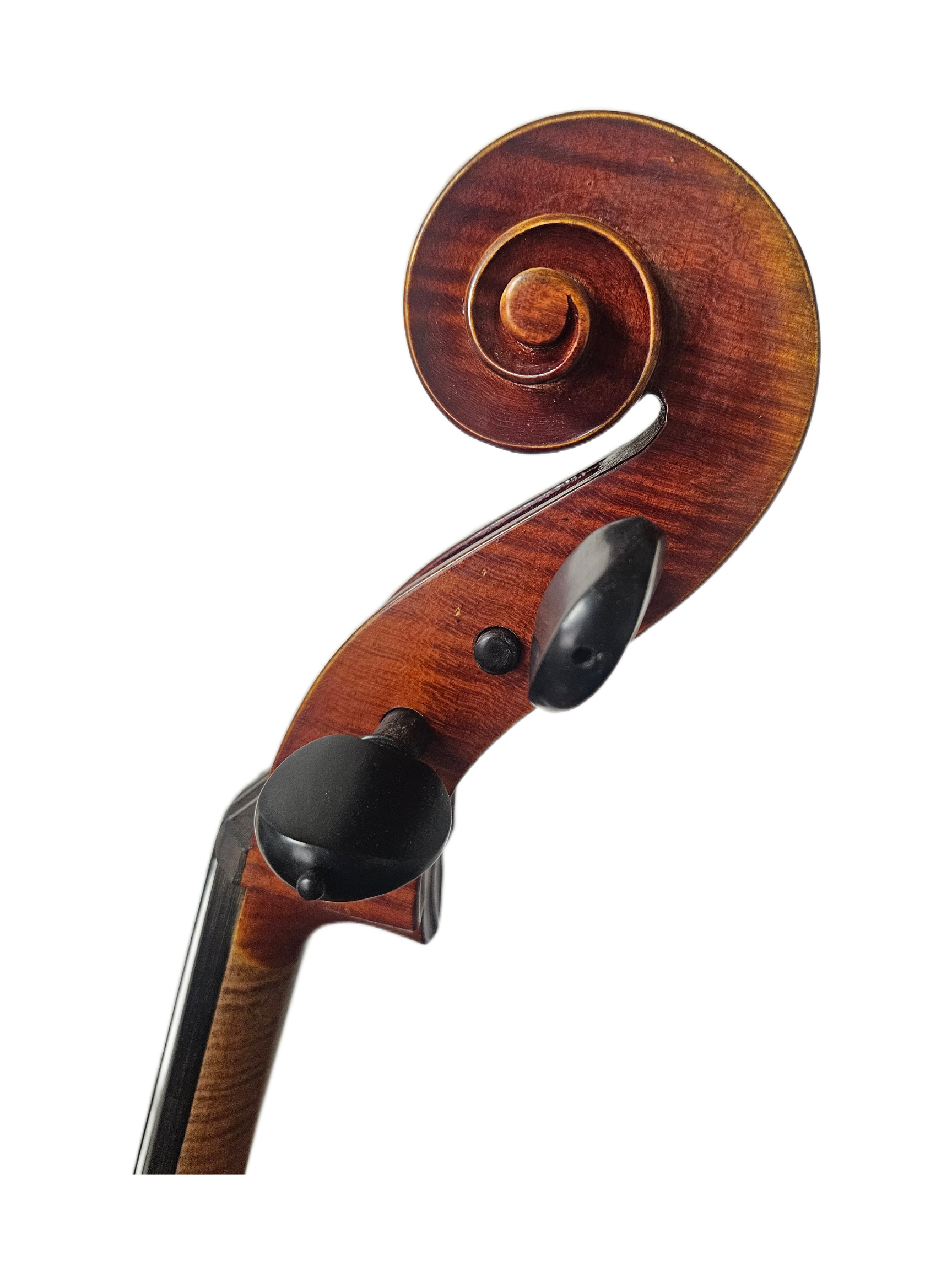 Erminia Modern Repluca Copy VC Scroll.png