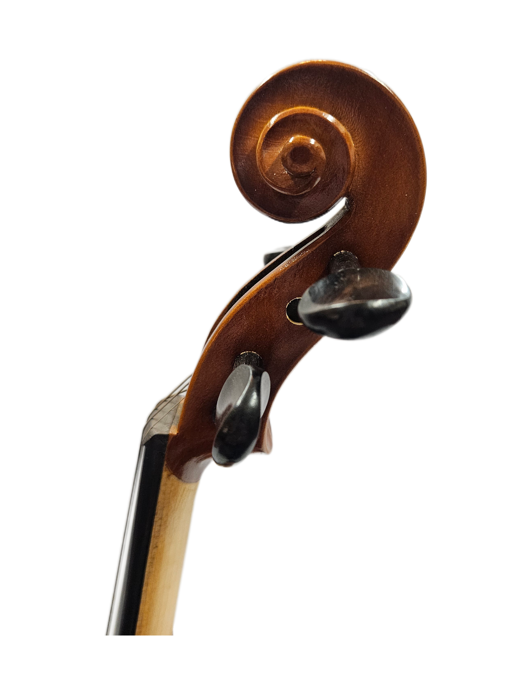 Otto Musica Model #120 Scroll.png