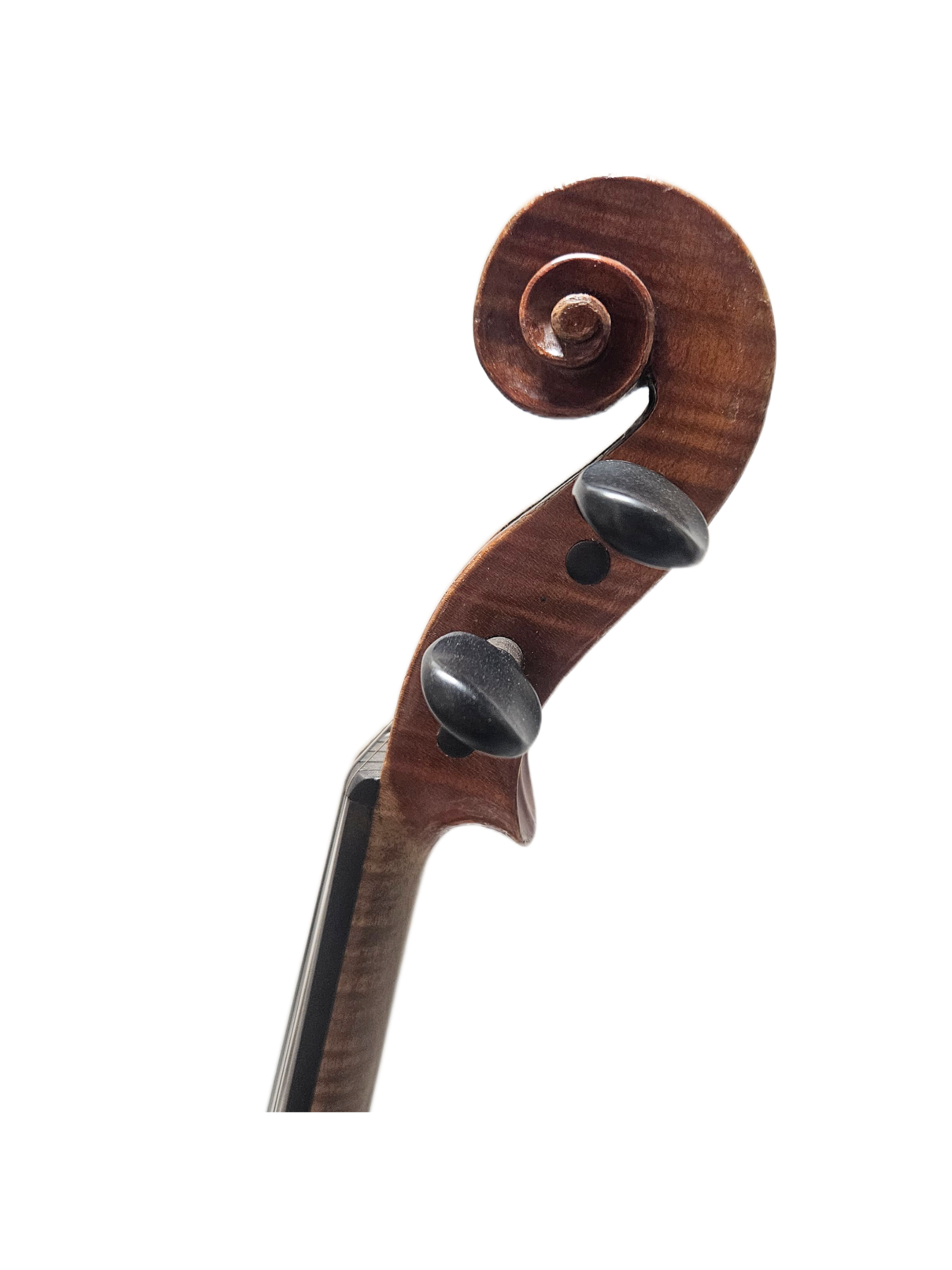 34 E Martin Strad Copy VL Scroll.png