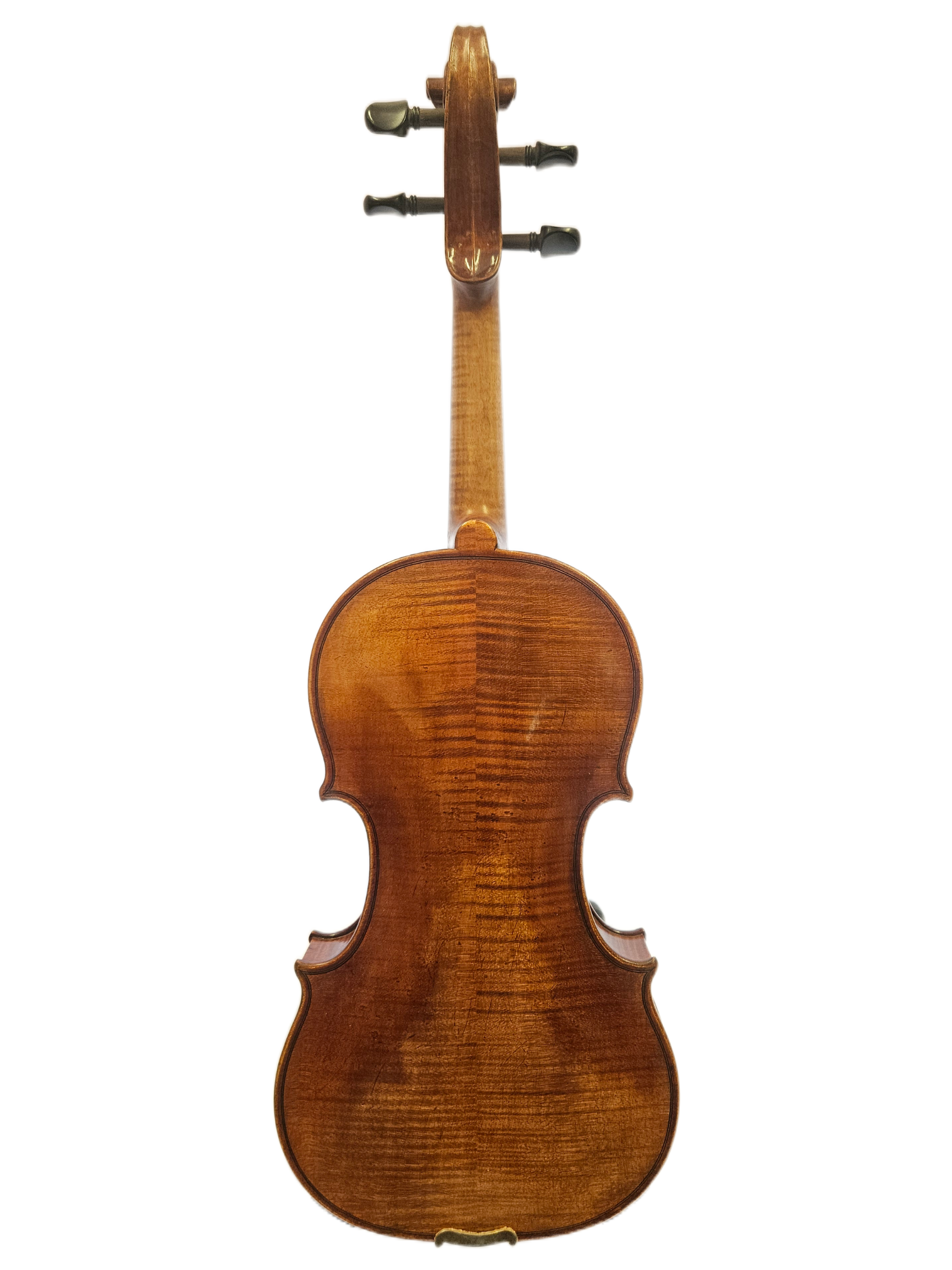 Ettore Callegari Amati Model 2019 Back.png