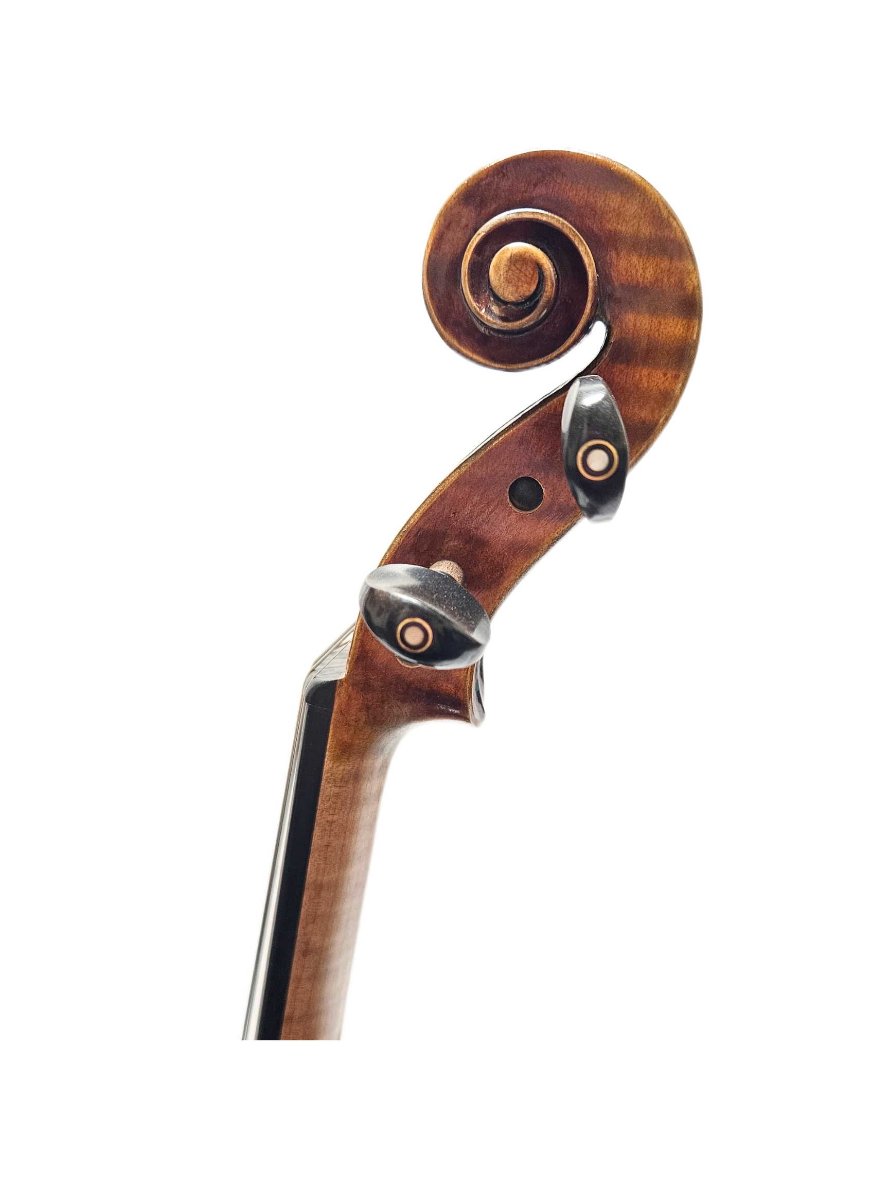 Paolo Lorenzo Scroll.png