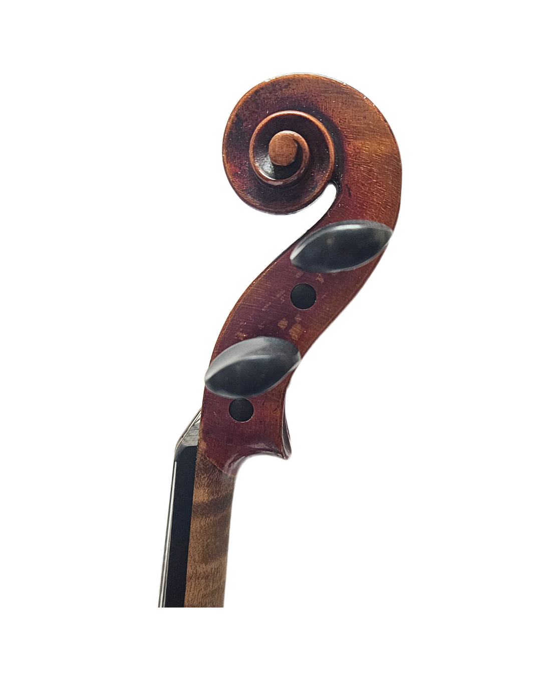 Albin Ludwig Paulus Jr Strad Copy 1914 44 VL Scroll.png