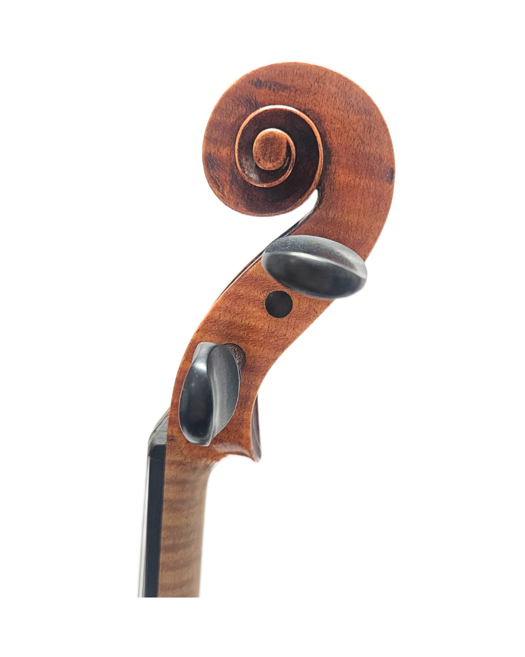German Strad Copy VL Scroll (1).png