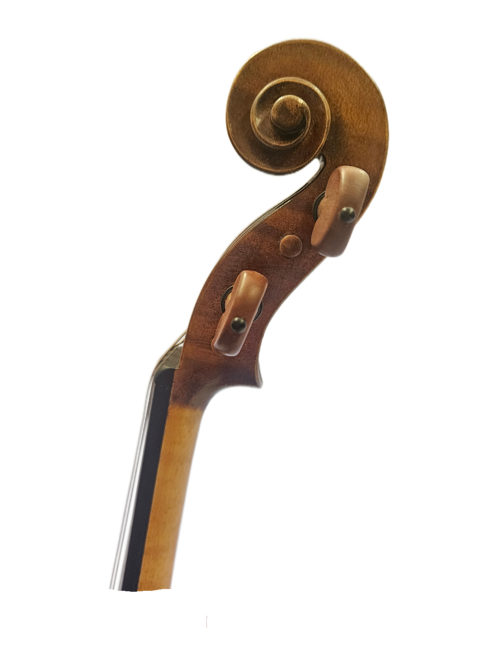 Cedar Music Model D Scroll.png