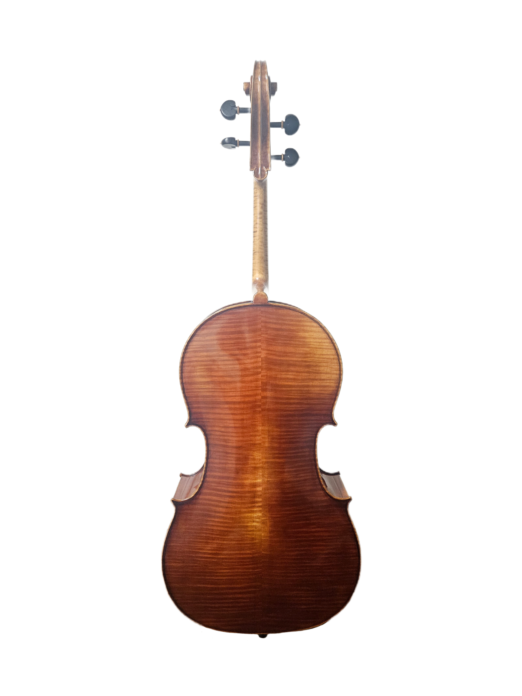 Ming Jiang Zhu European Tonewood VC Back.png