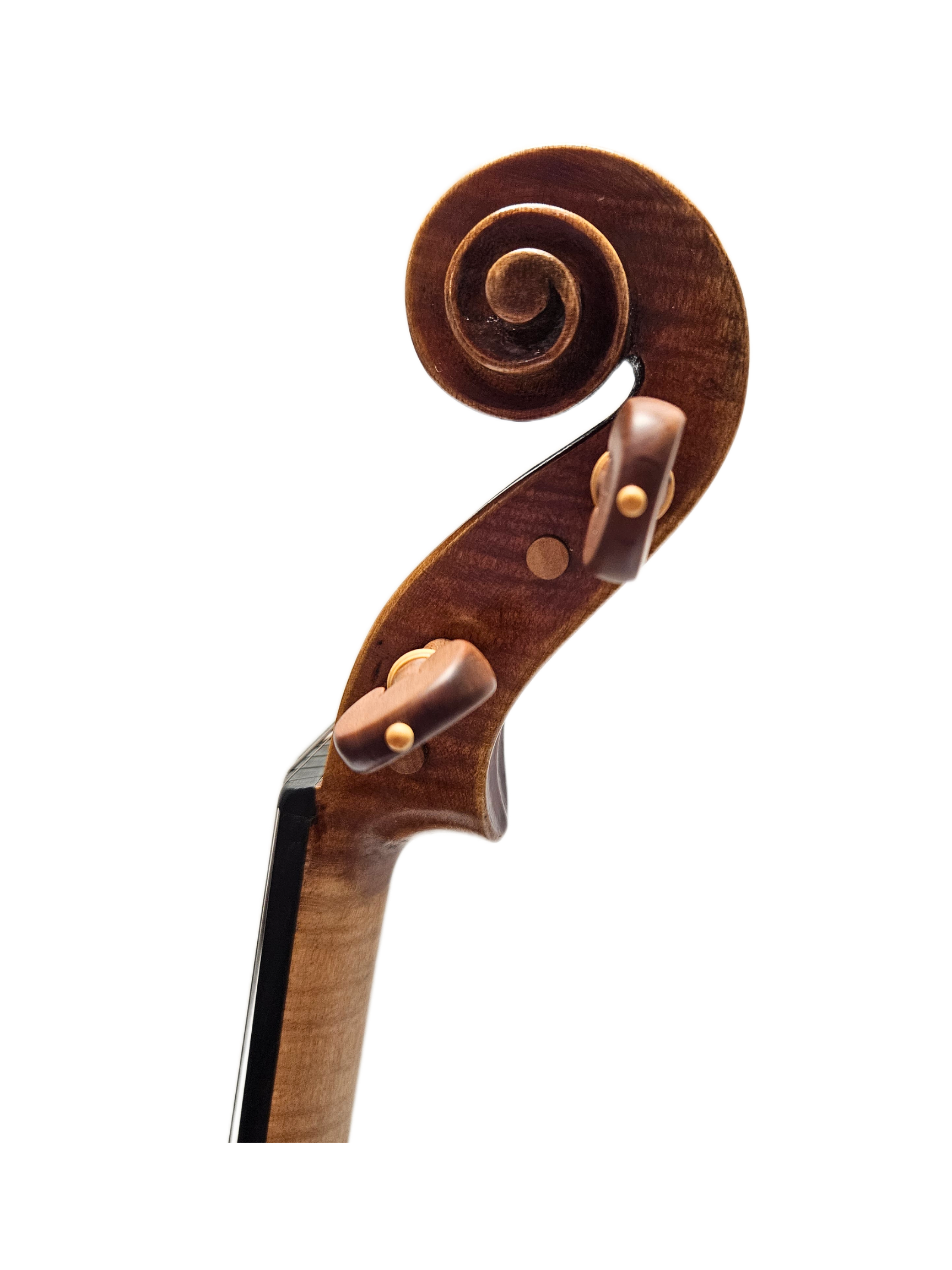 Sandro Luciano Heifetz 1740 VL Scroll.png