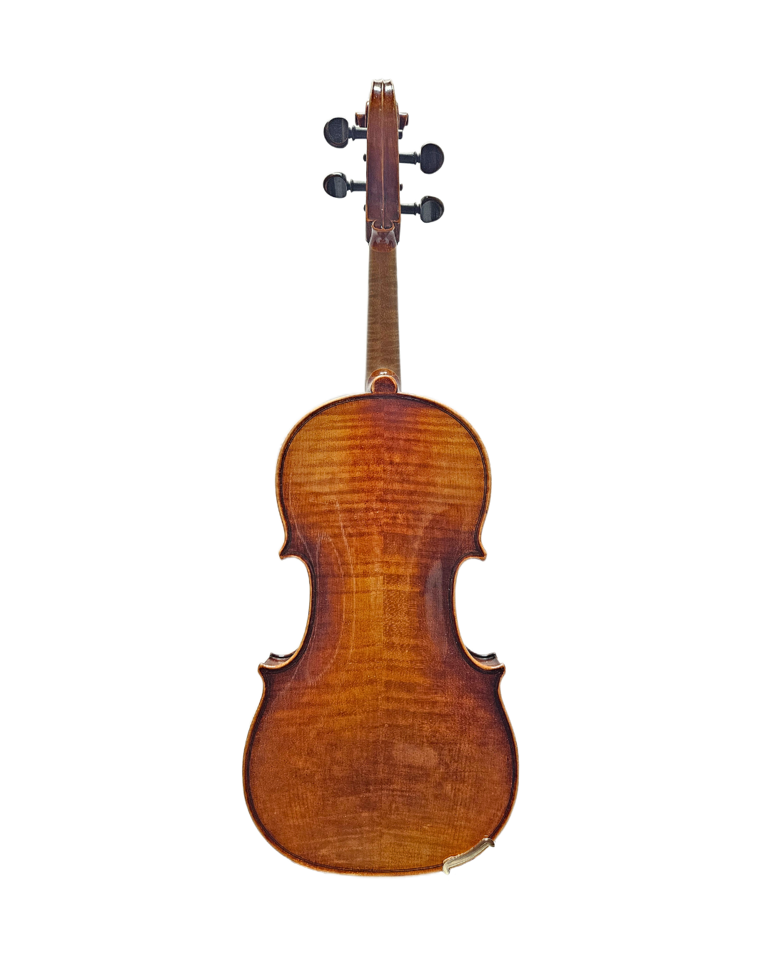 Jean-Baptiste Martinelli 15.5 VA Back.png