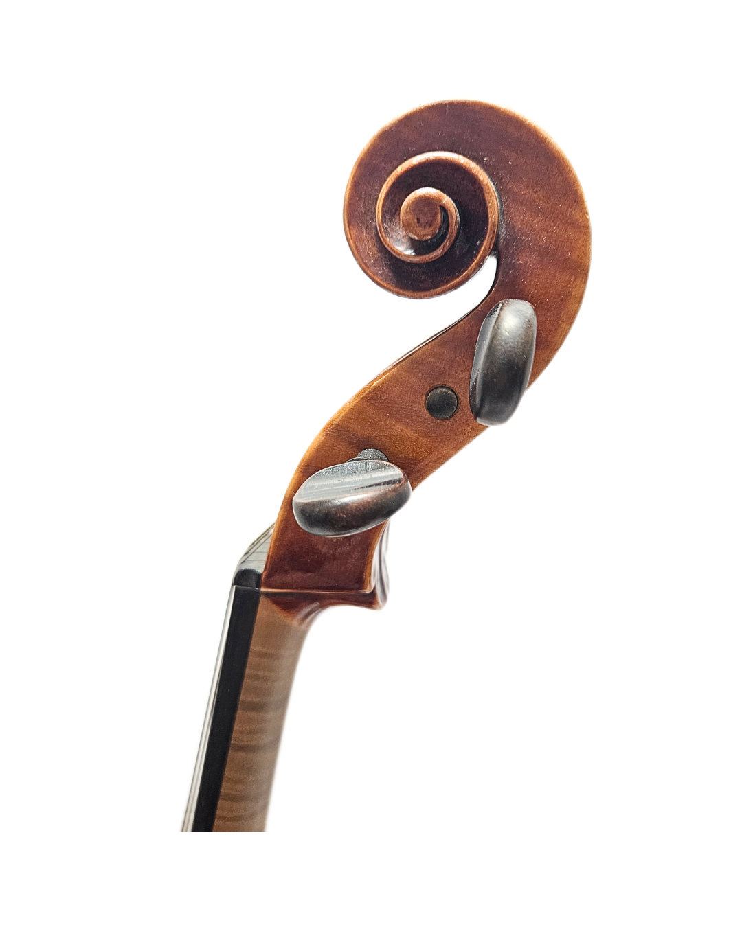 Jean-Baptiste Martinelli 15.5 VA Scroll.png