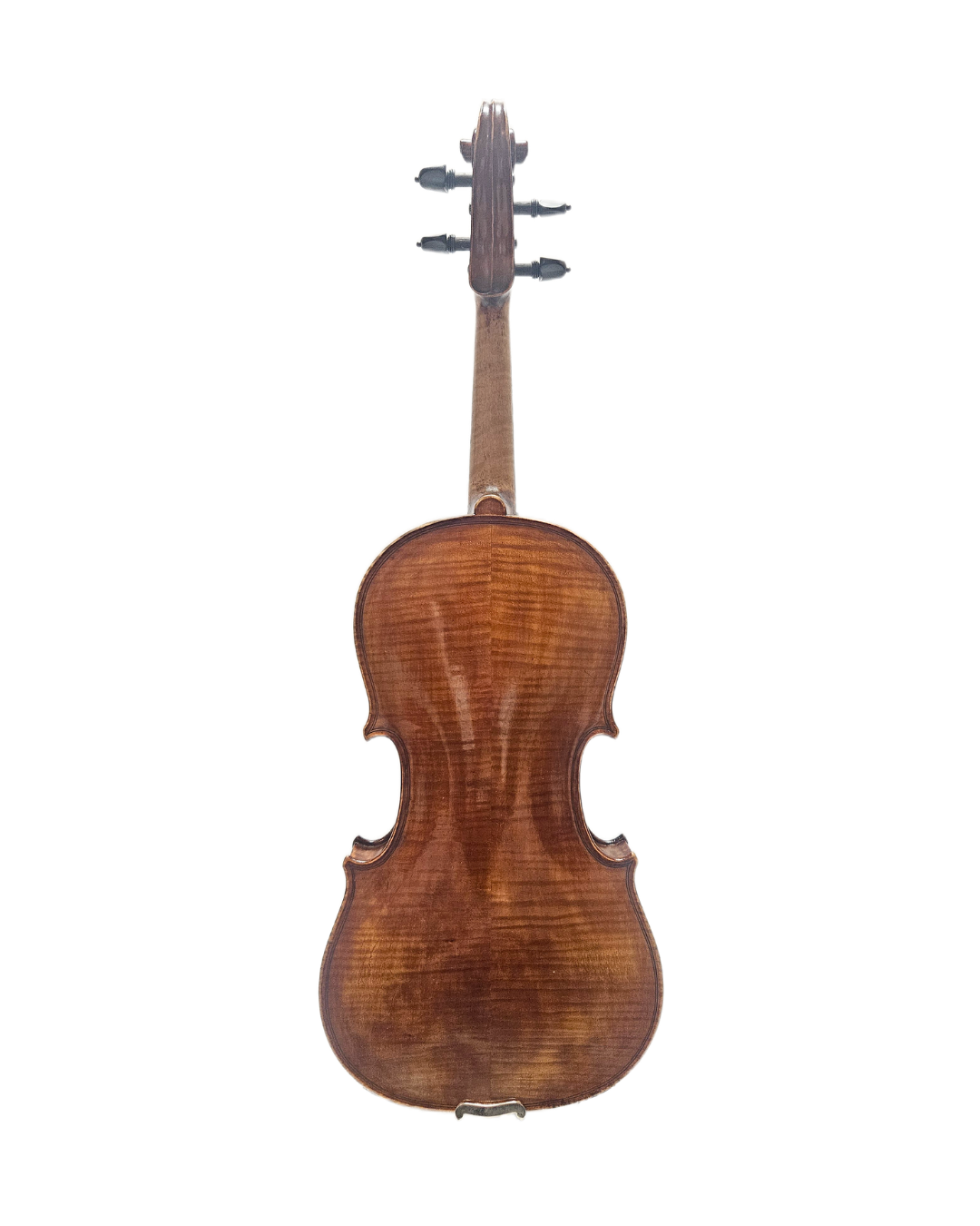 American Carolus VL Back.png