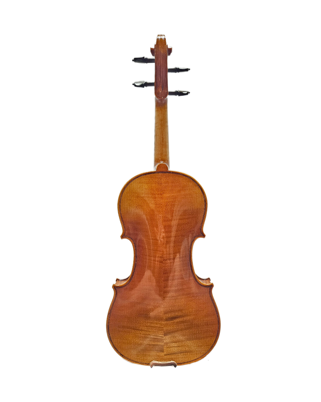 Scott Cao 750E 78 VL Back.png