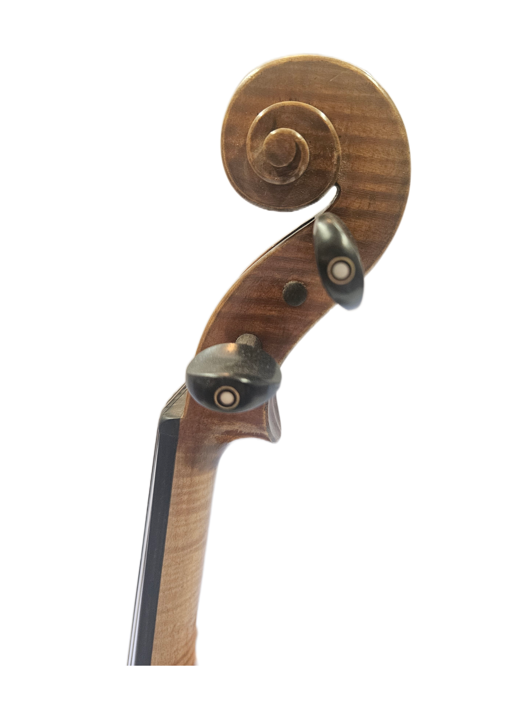 Cedar Music Model A Scroll.png