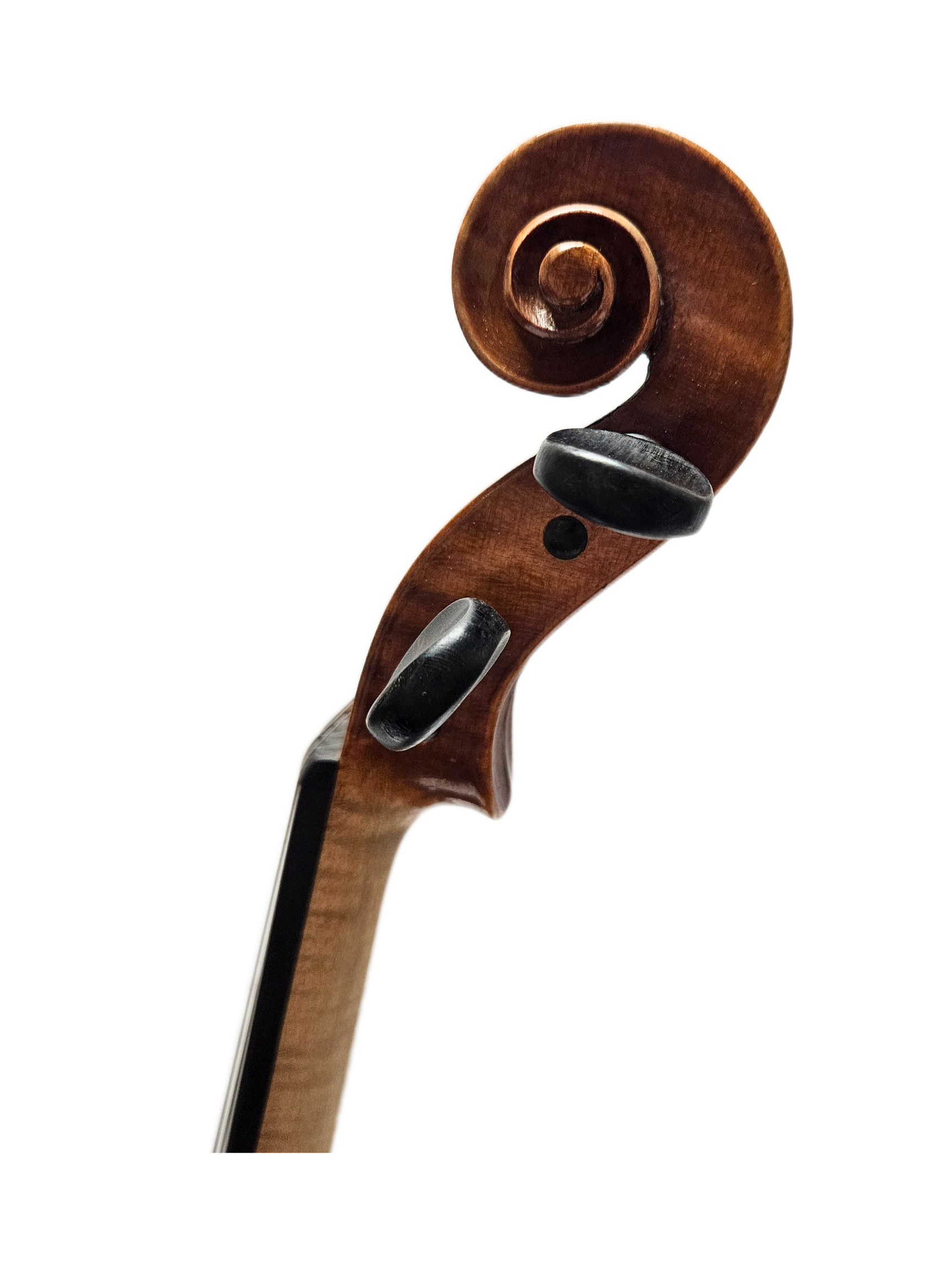 German Strad Copy VL Scroll.png