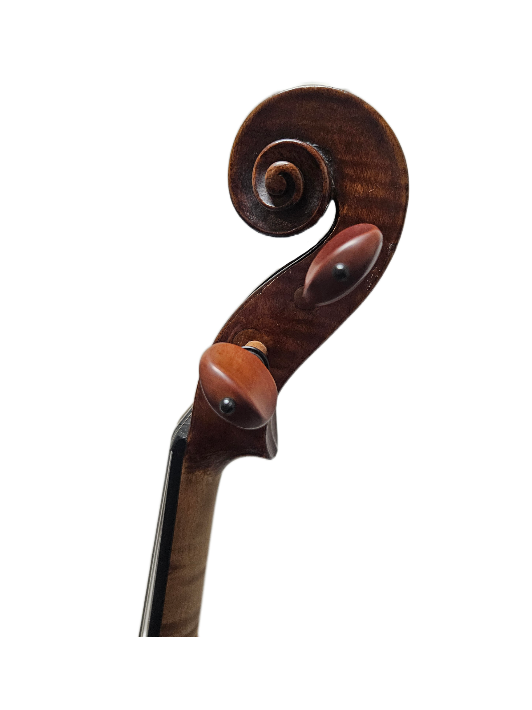 Klotz new scroll.png