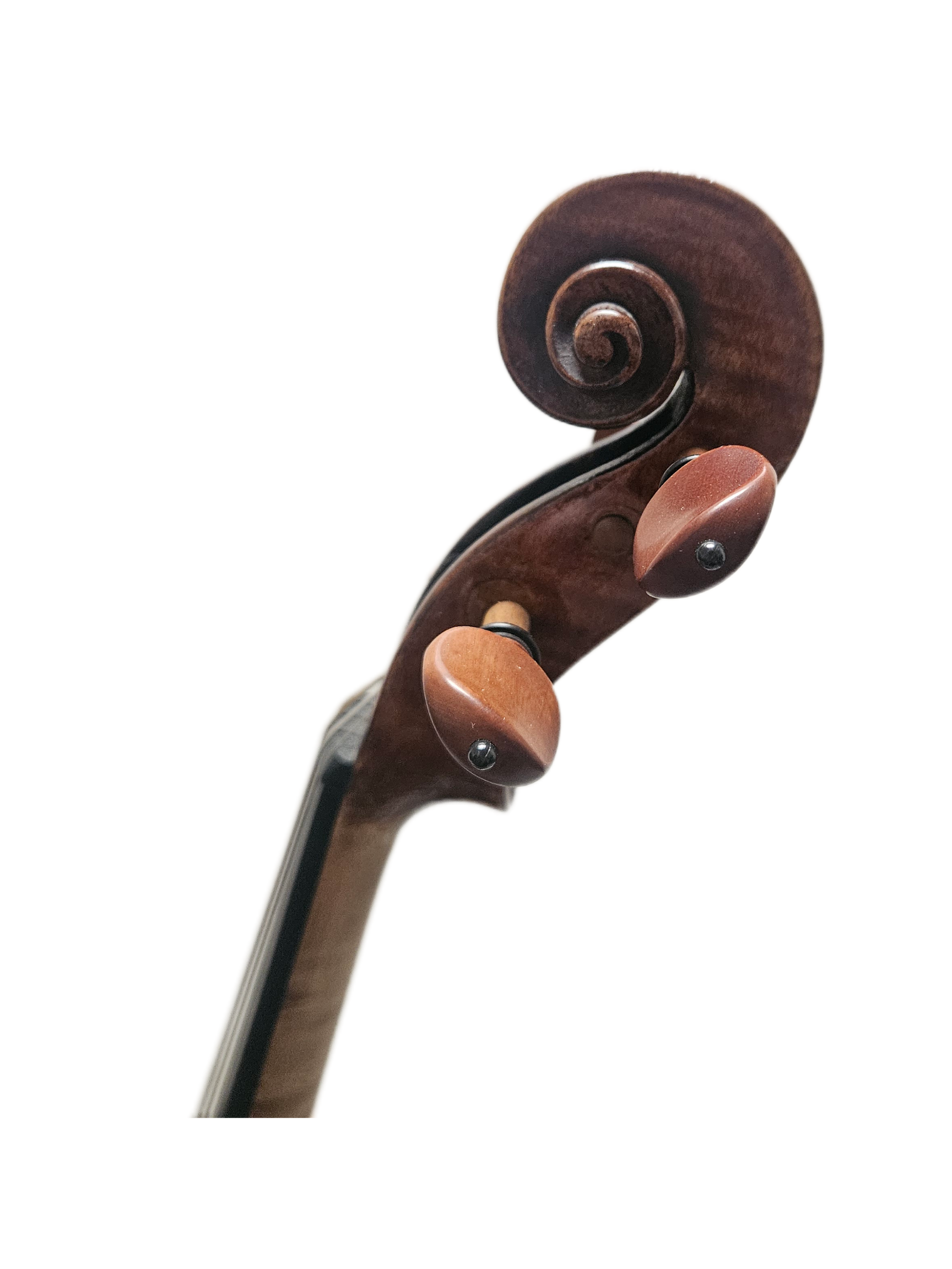 Klotz School 19th Century VL Scroll.png