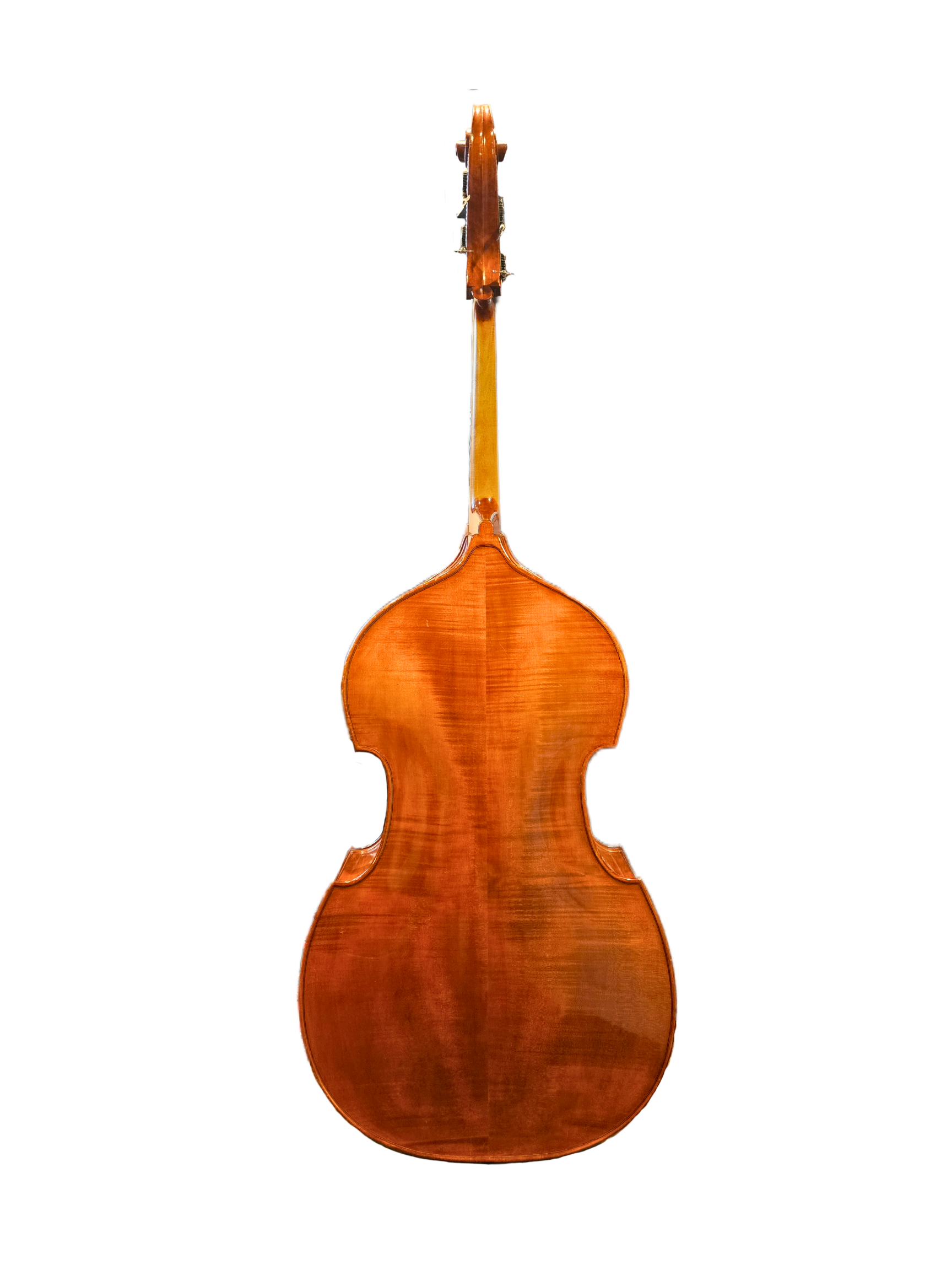 Otto A Gleasel 1981 German Bass Back.png