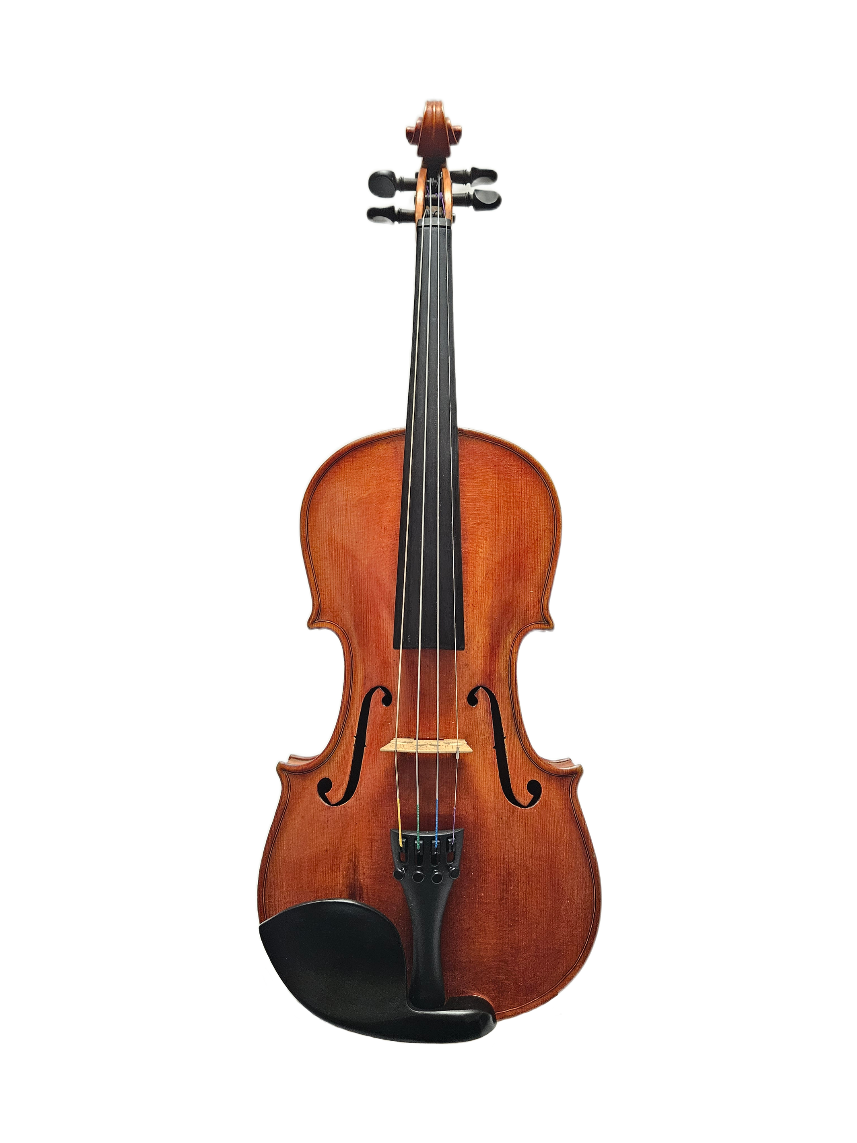 Copy of Giuseppe Dollens