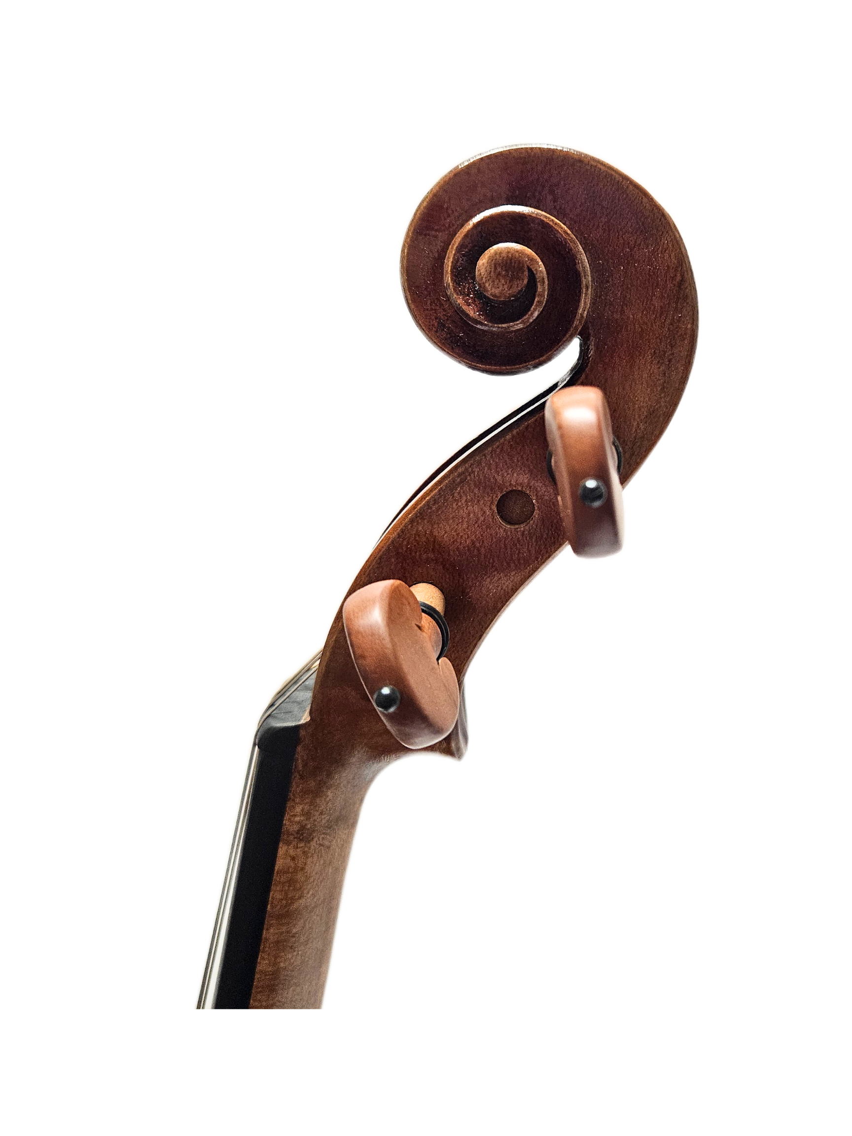 Peter Kauffman TErtis Model 15.5 VA Scroll.png