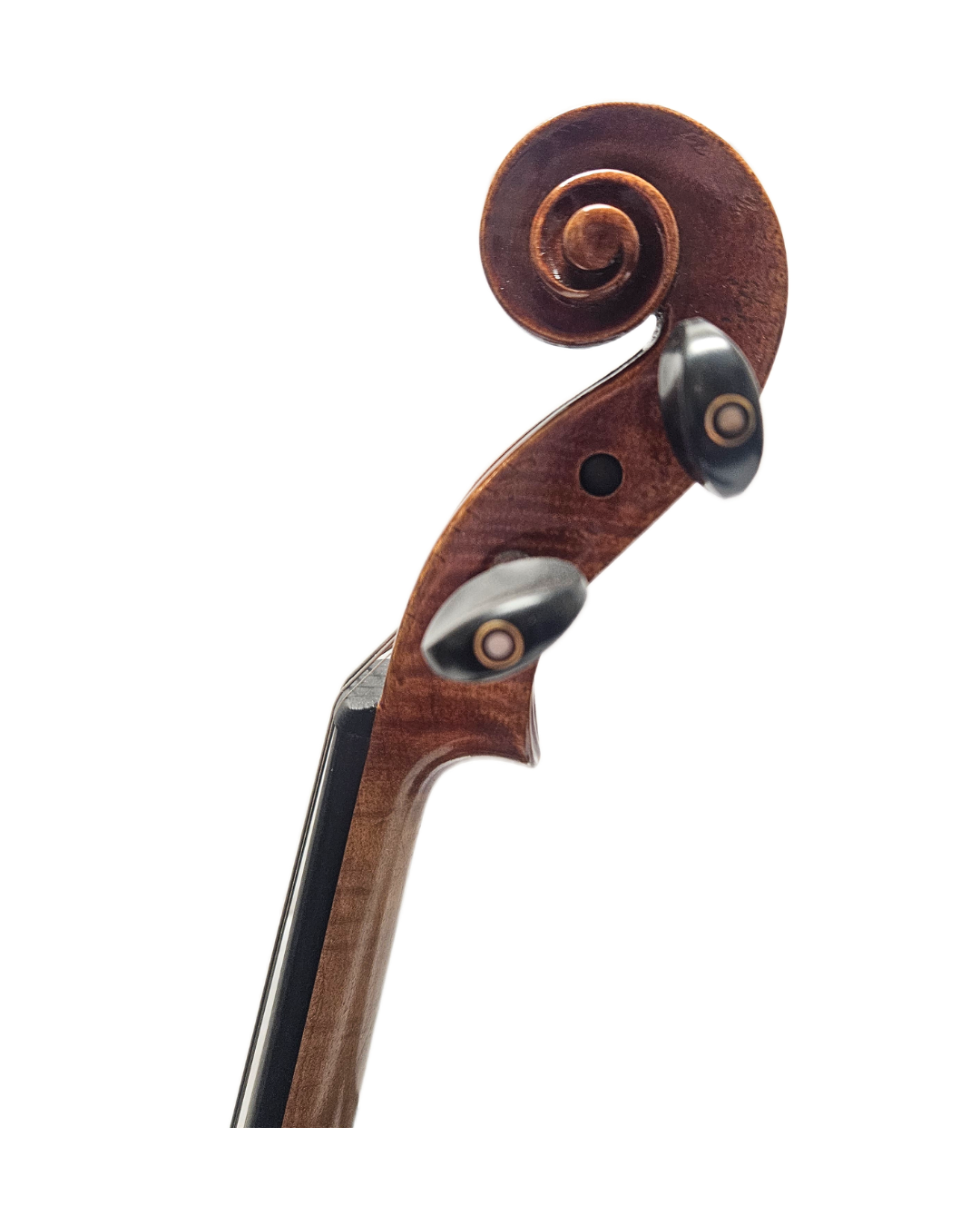 Camillo Callegari Strad Copy VL Scroll.png