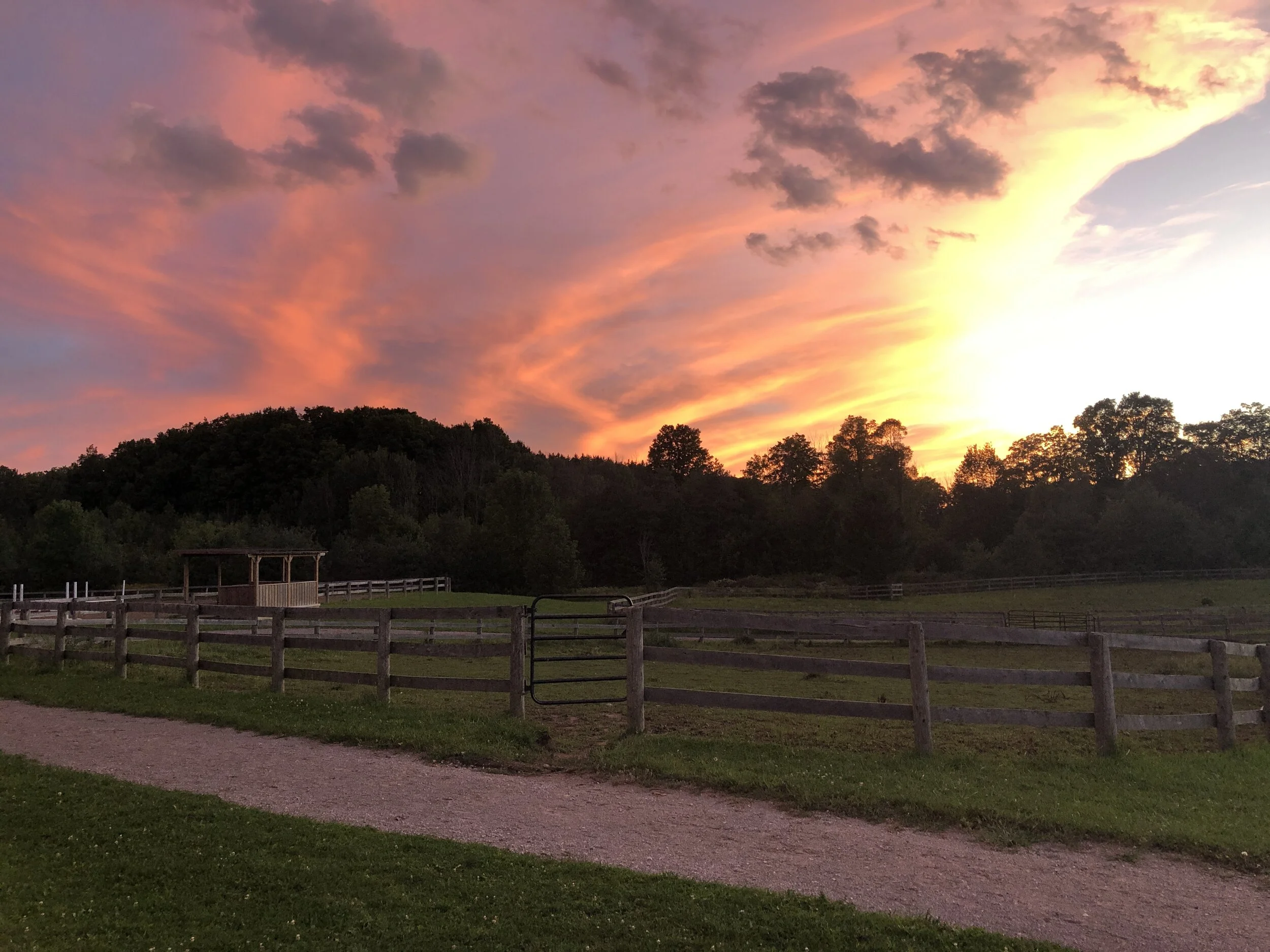 Photo Location — The Meadows Equine