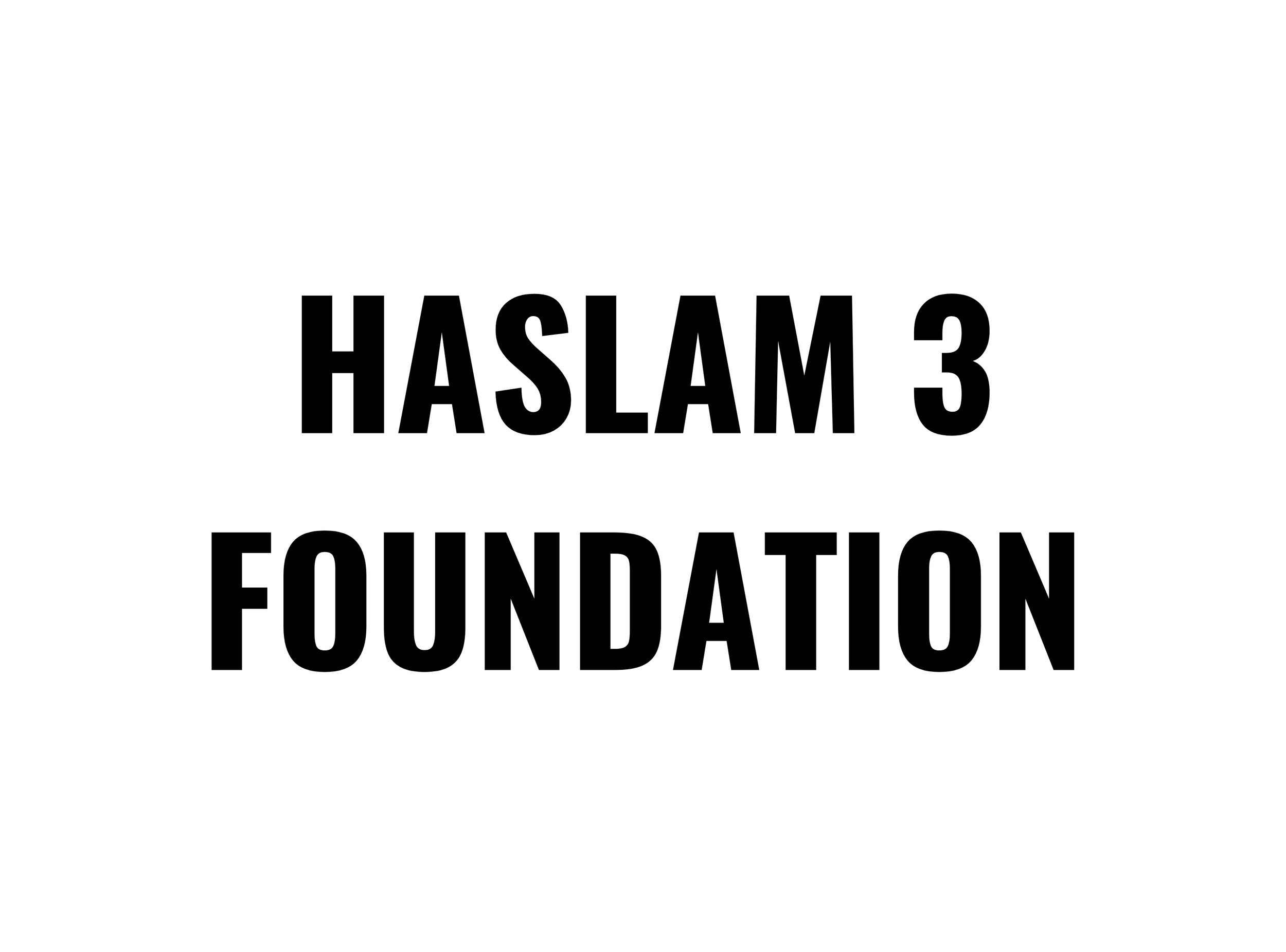 haslam 3.png