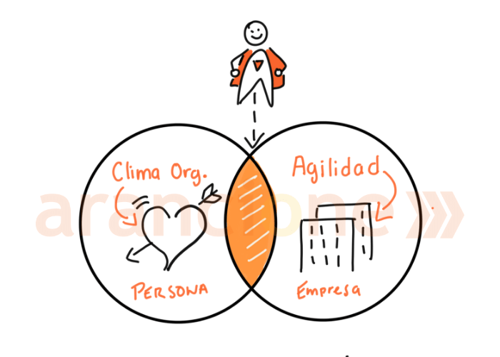 Agilidad vs Clima Organizacional.png