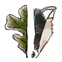 faceeee200.png
