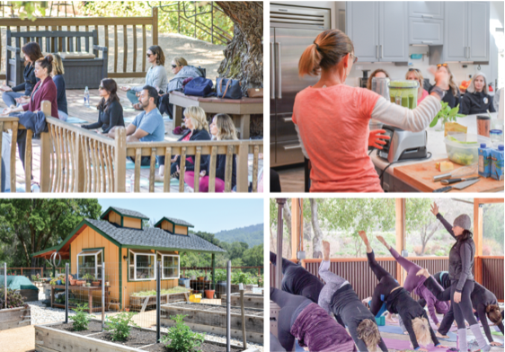 Martin Ranch Winery Wellness day-.png