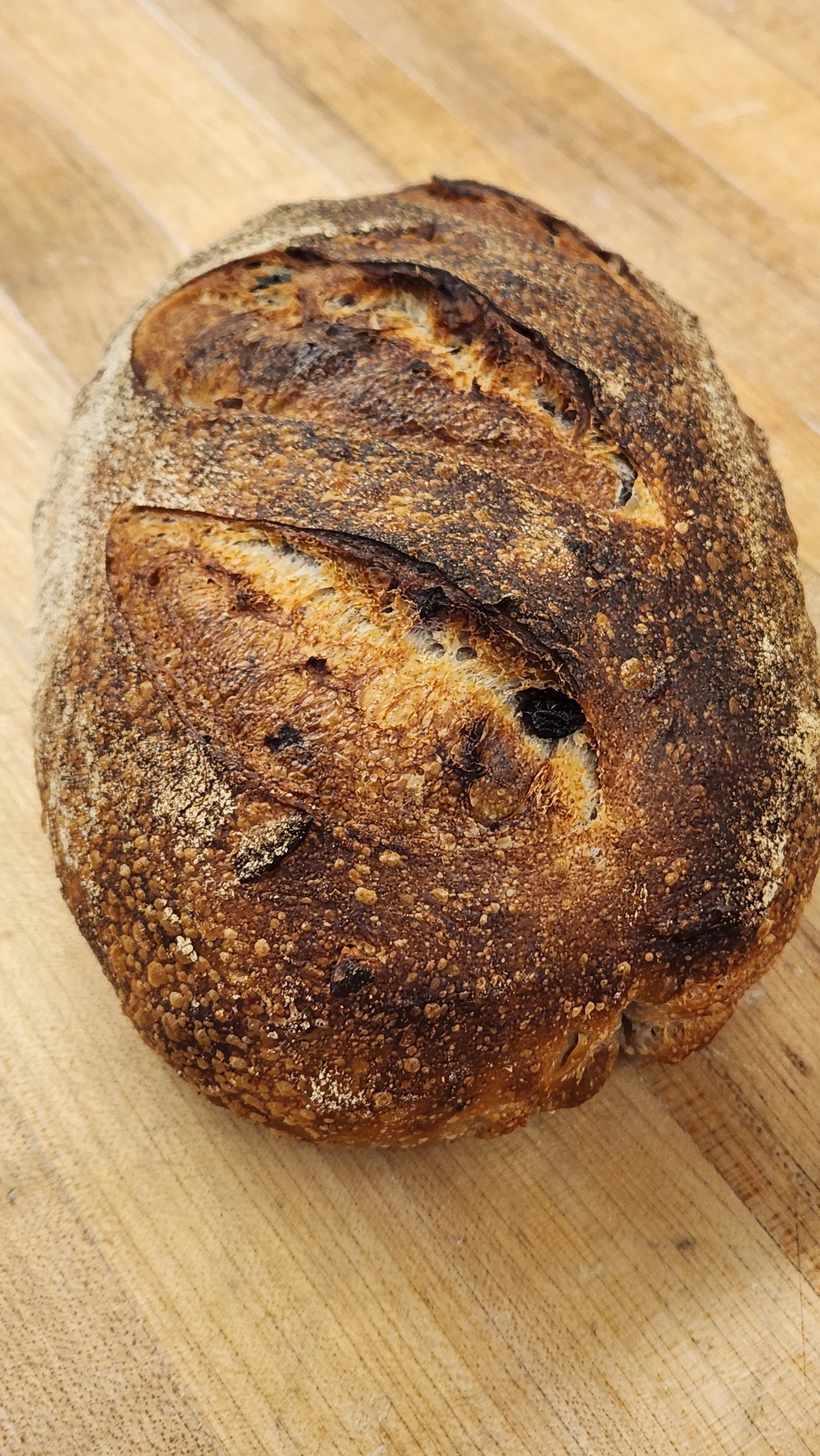 Blueberry Pecan Artisan Loaf