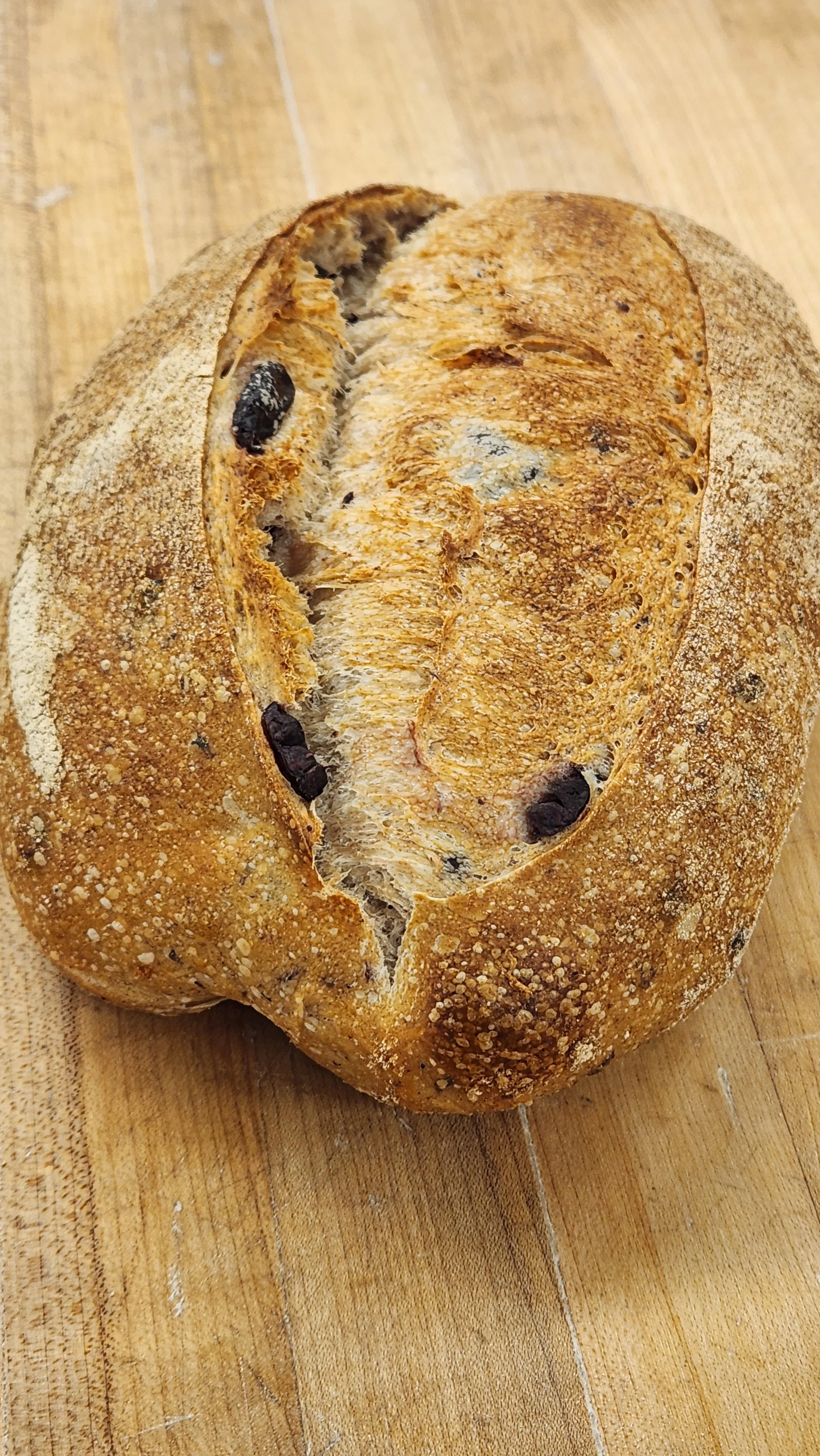 Olive Rosemary Artisan Loaf