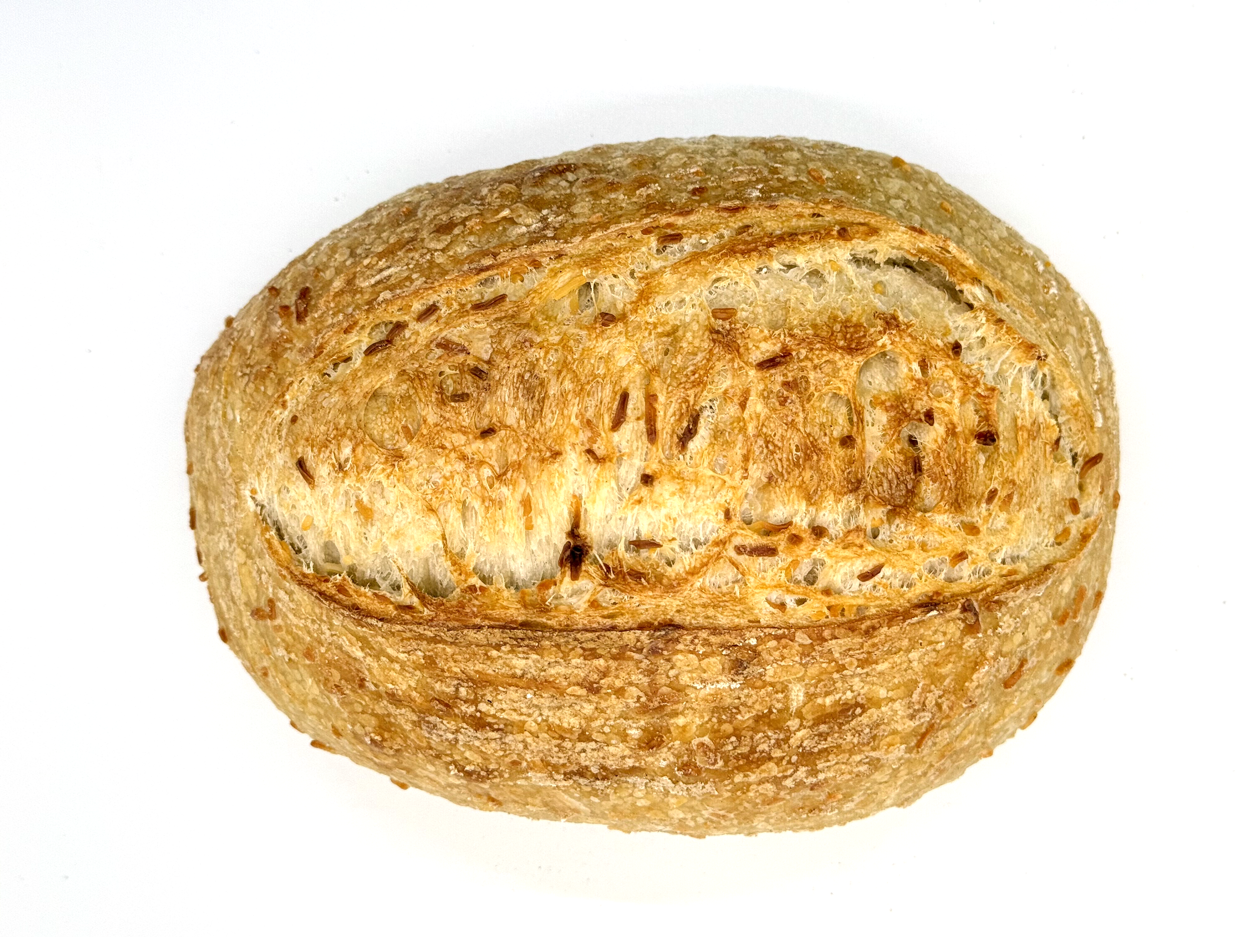 Asiago Cheese Sourdough Loaf