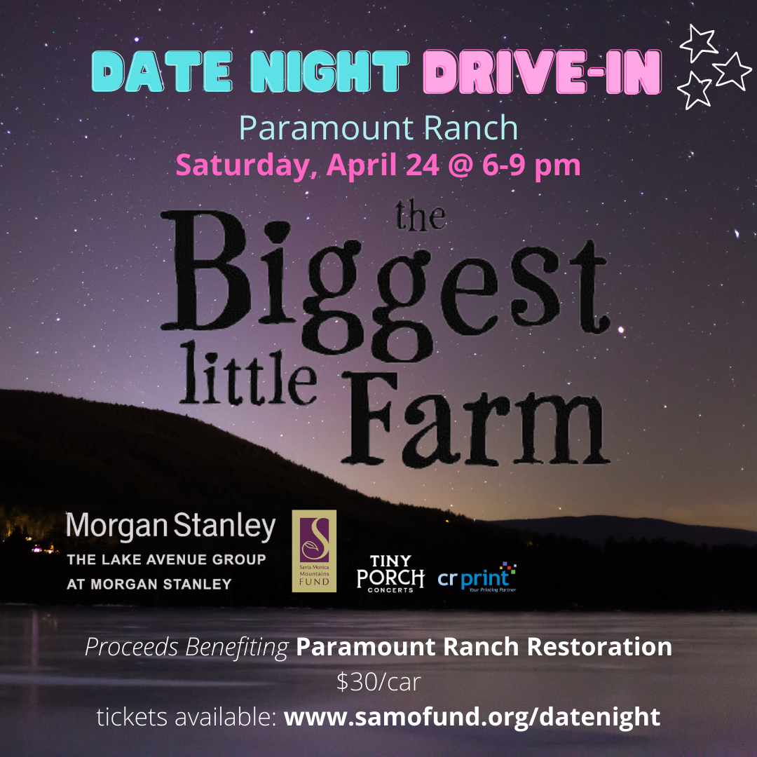 Date Night Drive-in