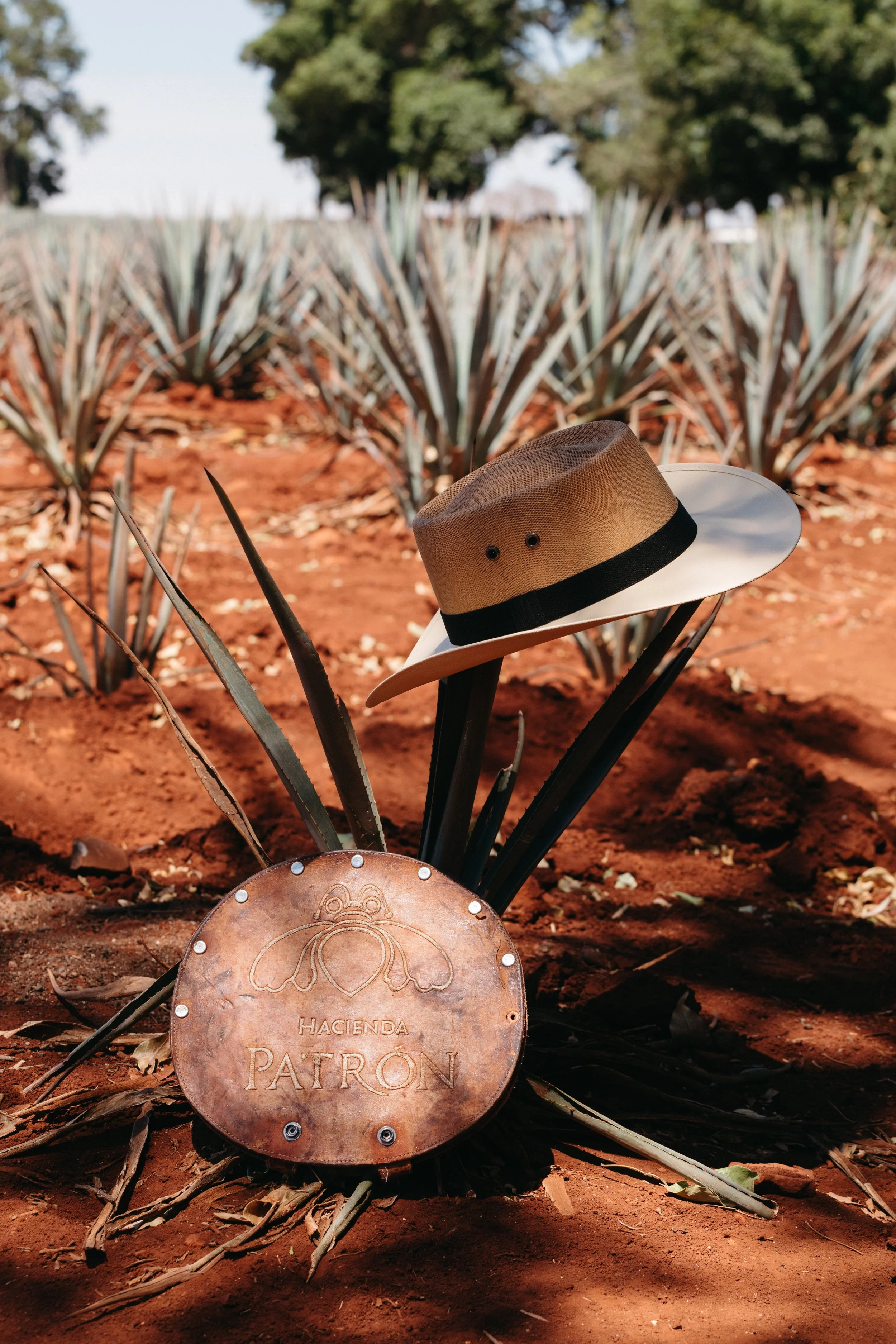 03.26.23_PHOTO_A_Field to Flavor 96.jpg