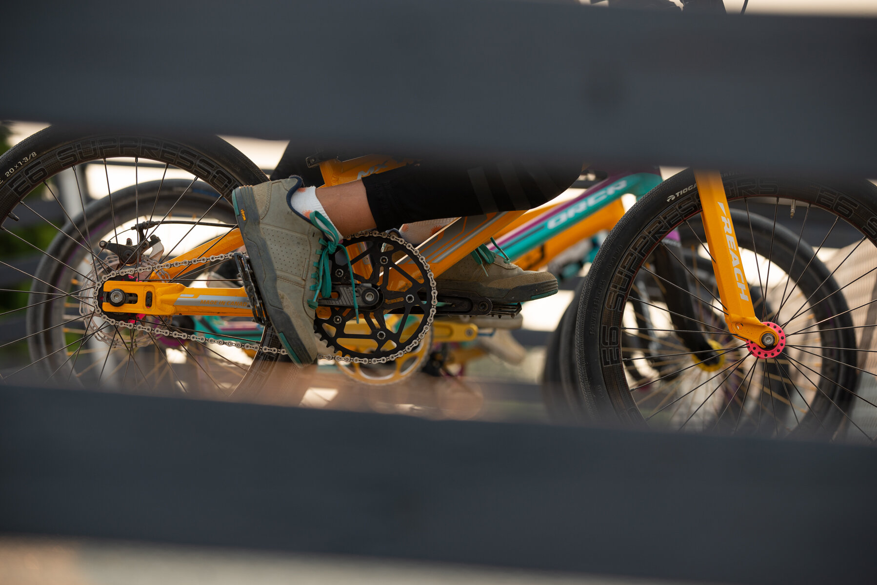 BC BMX CHAMPS 2021-8.jpg